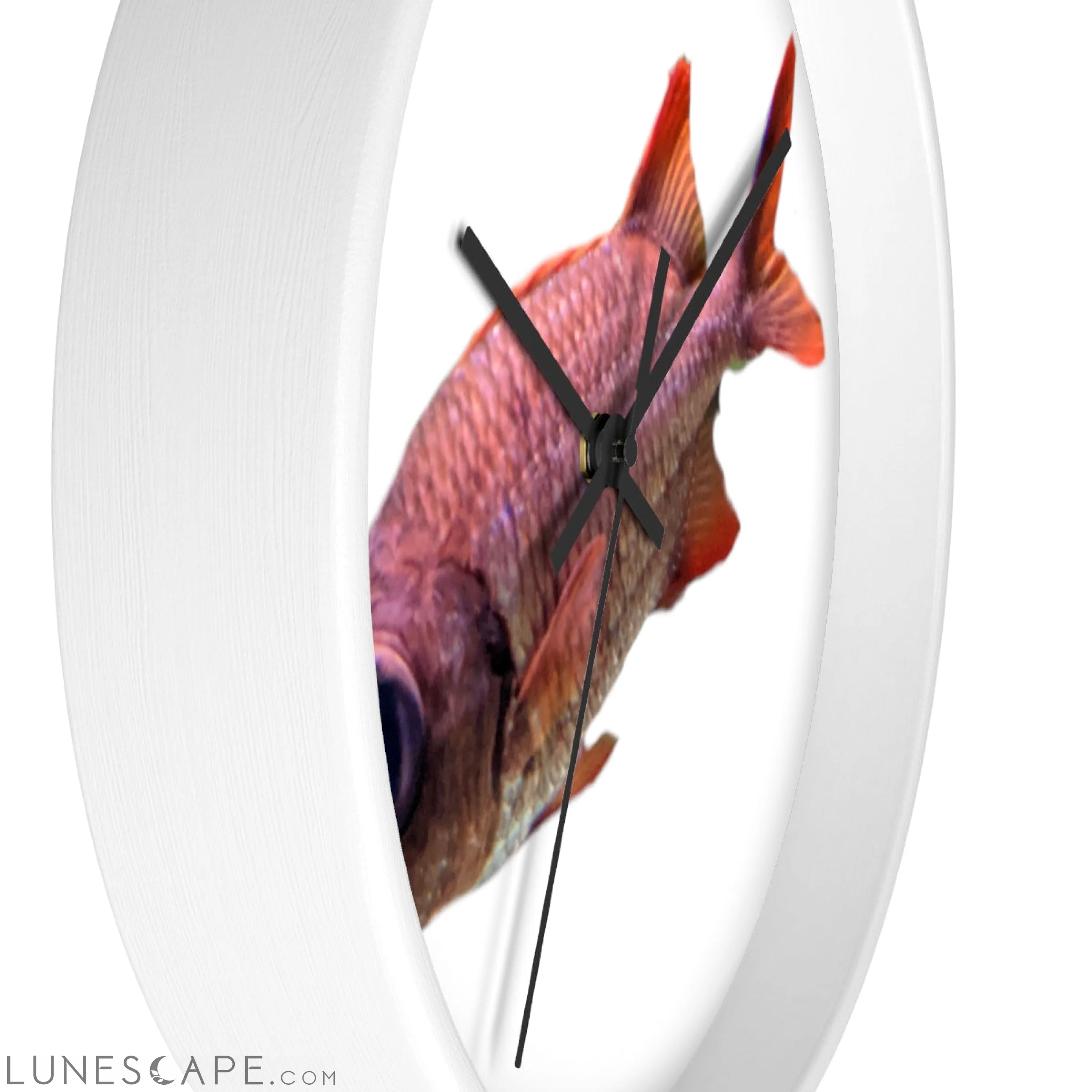 Colored Fish Wall clock LUNESCAPE