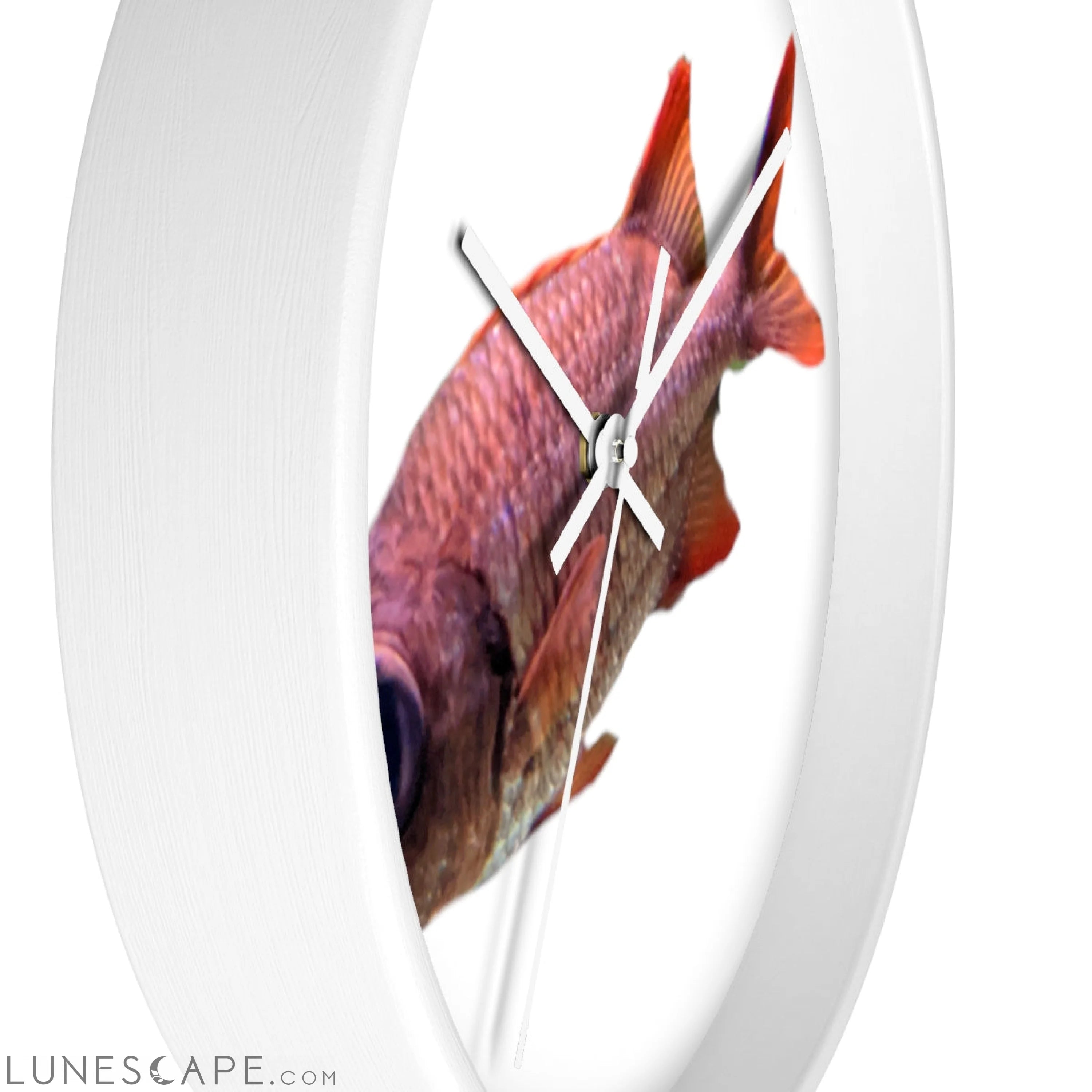 Colored Fish Wall clock LUNESCAPE