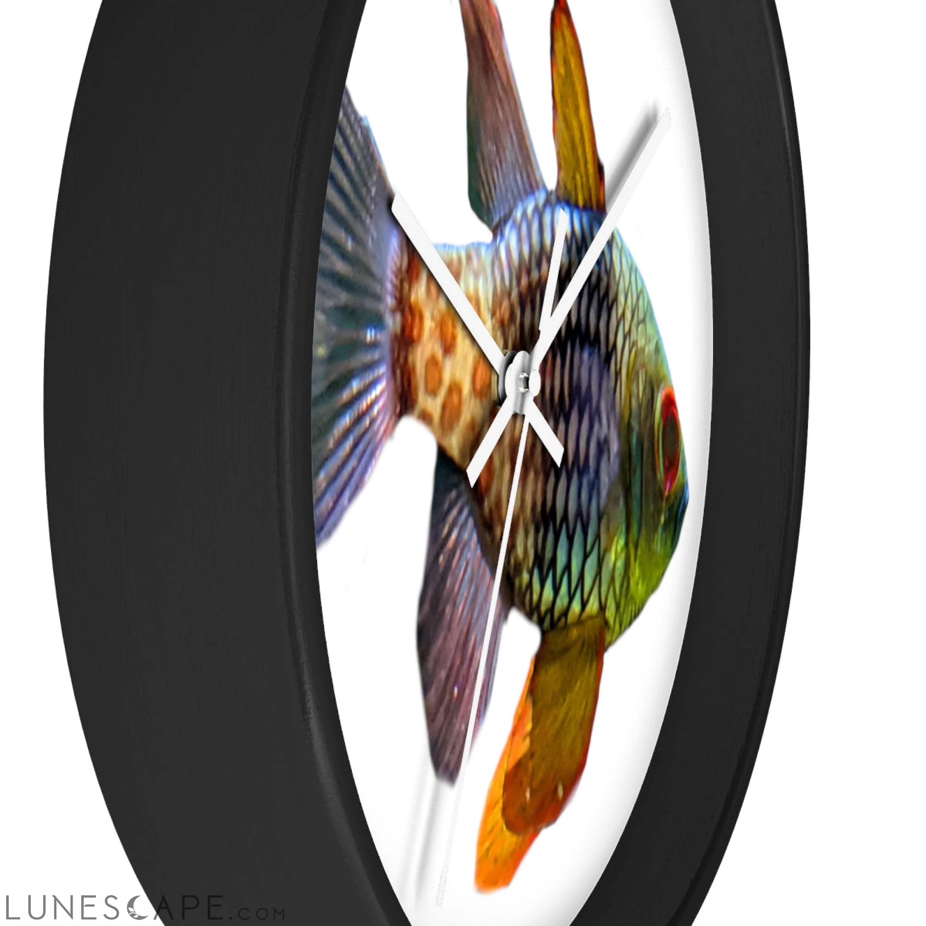 Colored Fish Wall clock LUNESCAPE