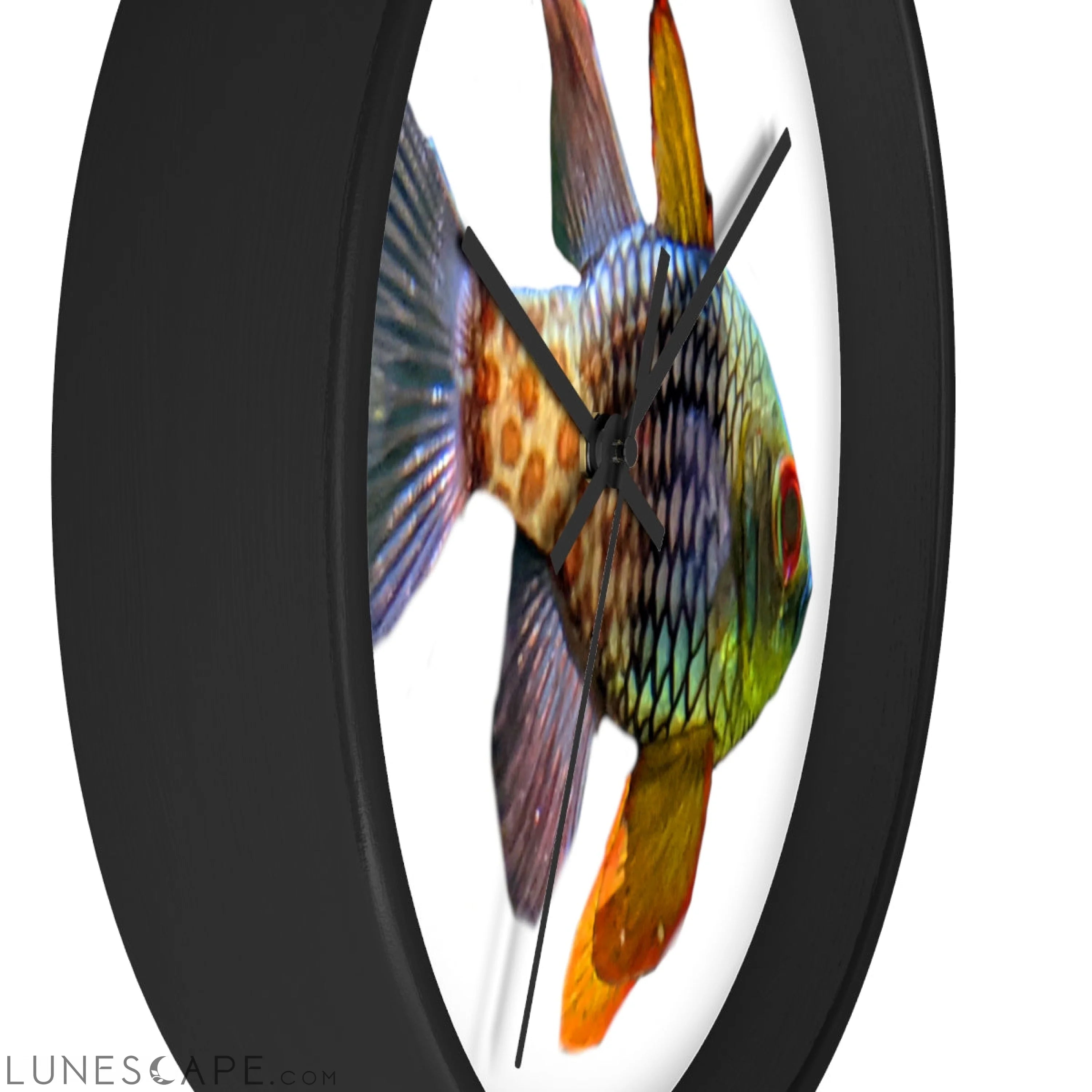 Colored Fish Wall clock LUNESCAPE