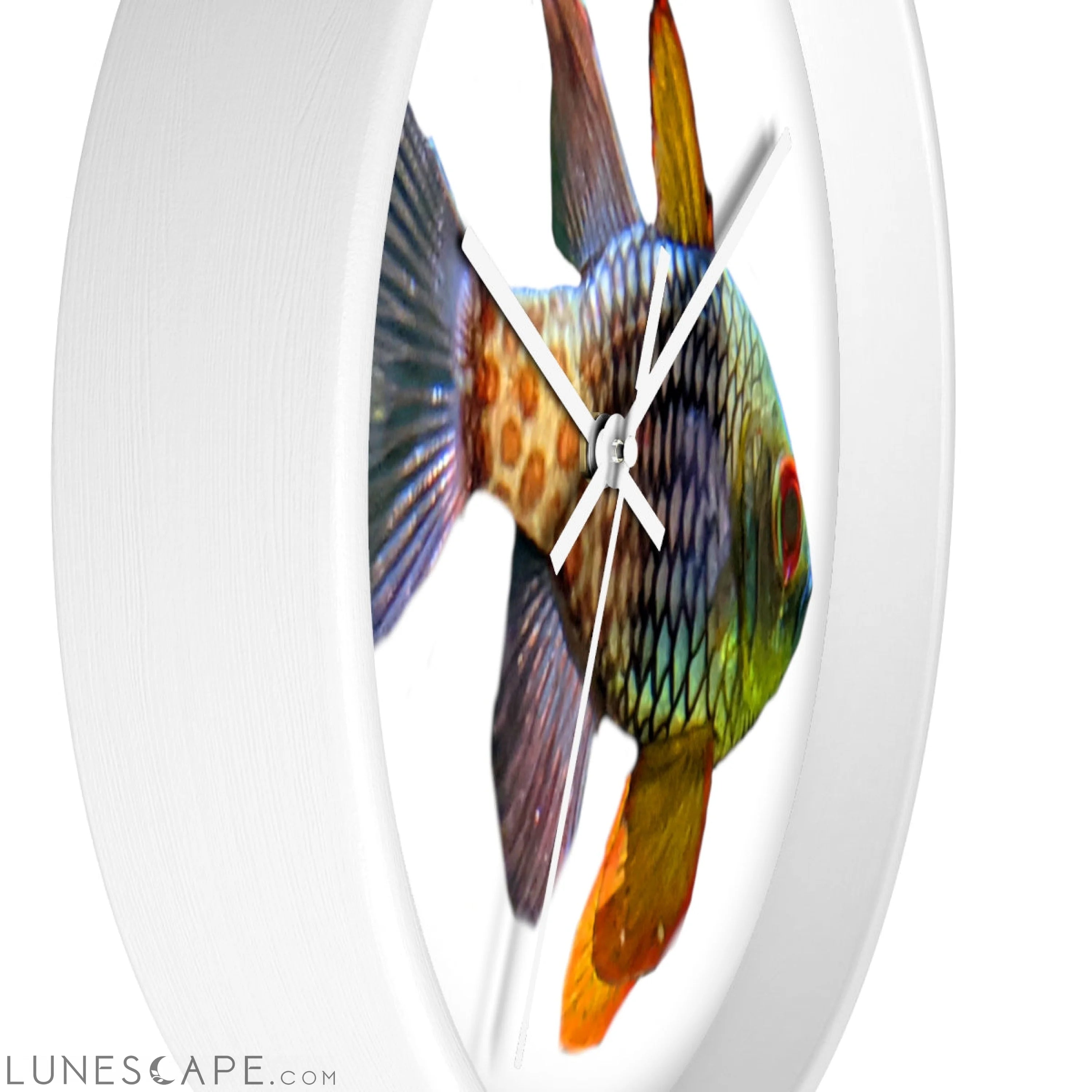 Colored Fish Wall clock LUNESCAPE