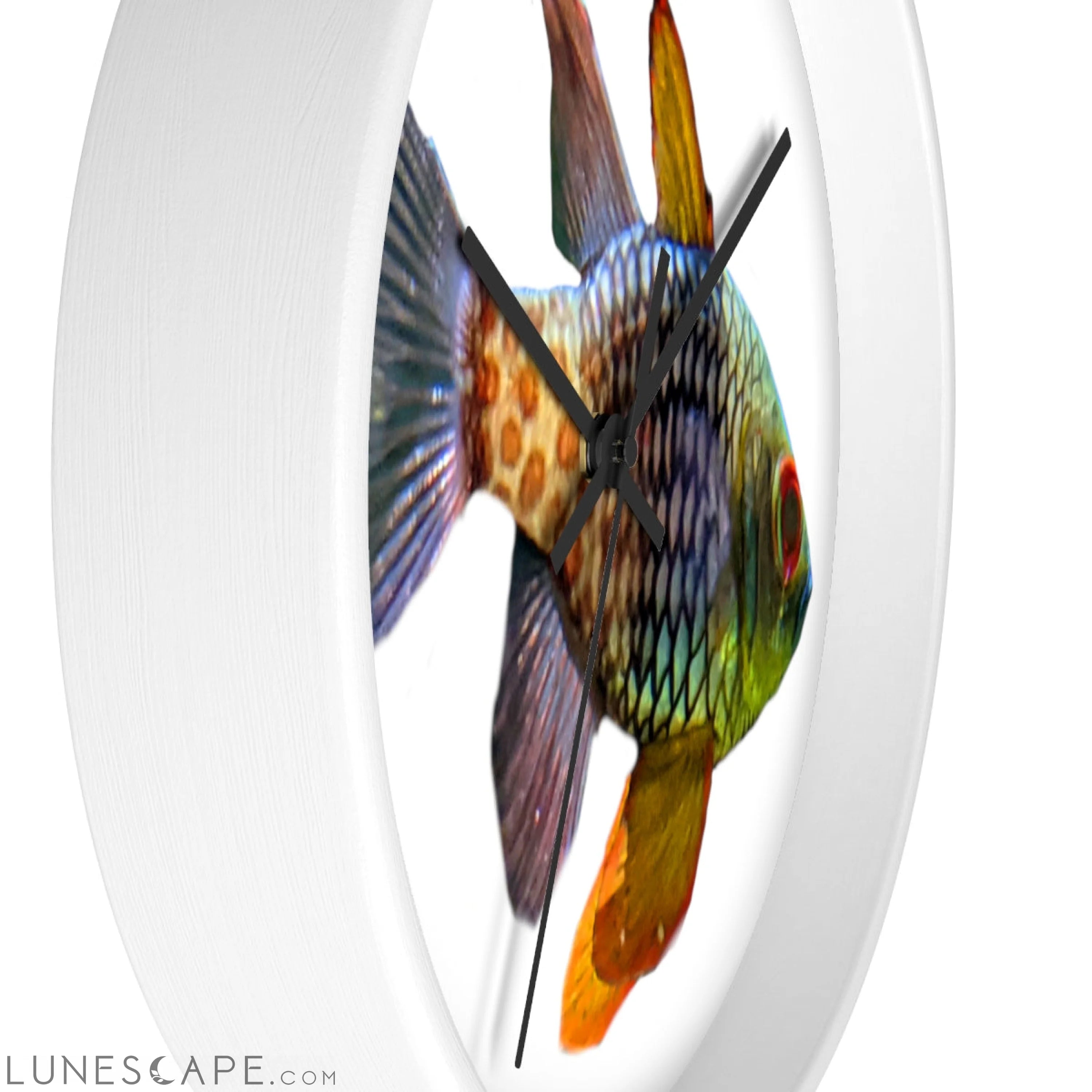 Colored Fish Wall clock LUNESCAPE