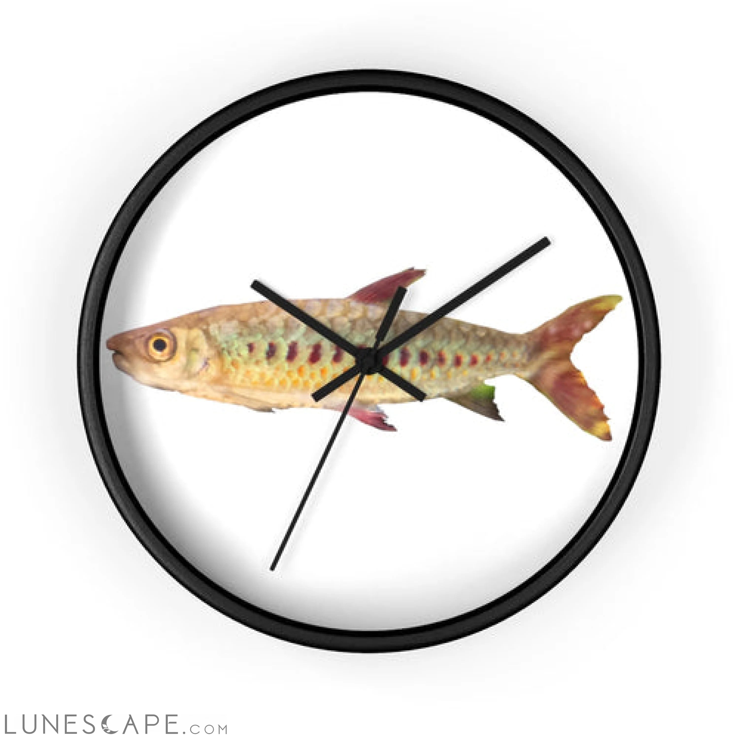 Colorful Fish Wall clock LUNESCAPE