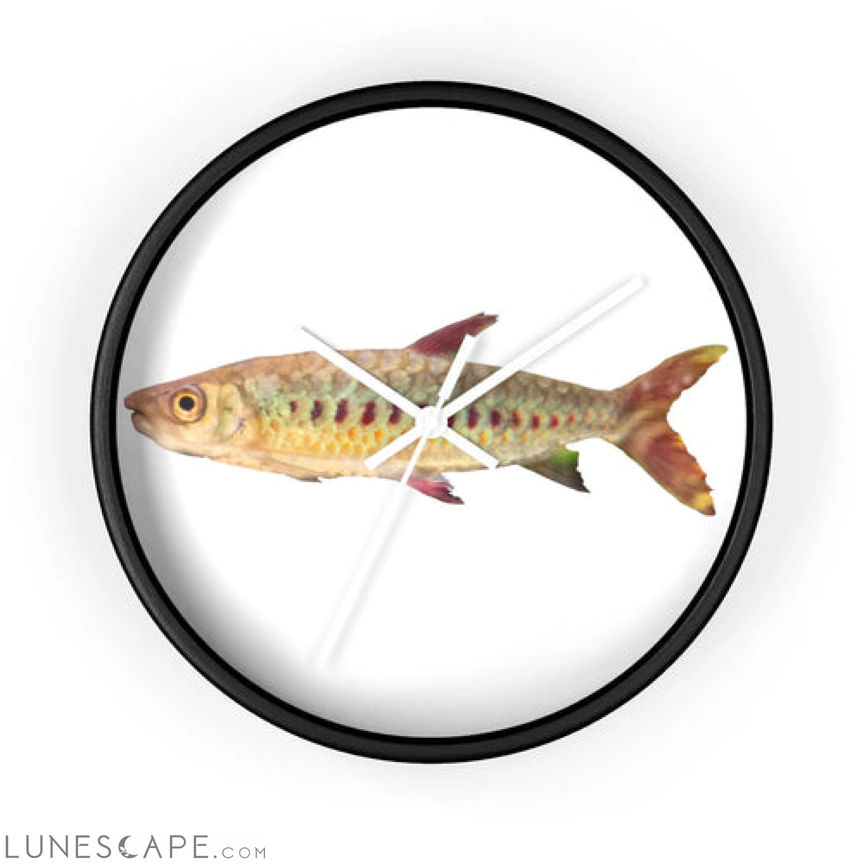 Colorful Fish Wall clock LUNESCAPE