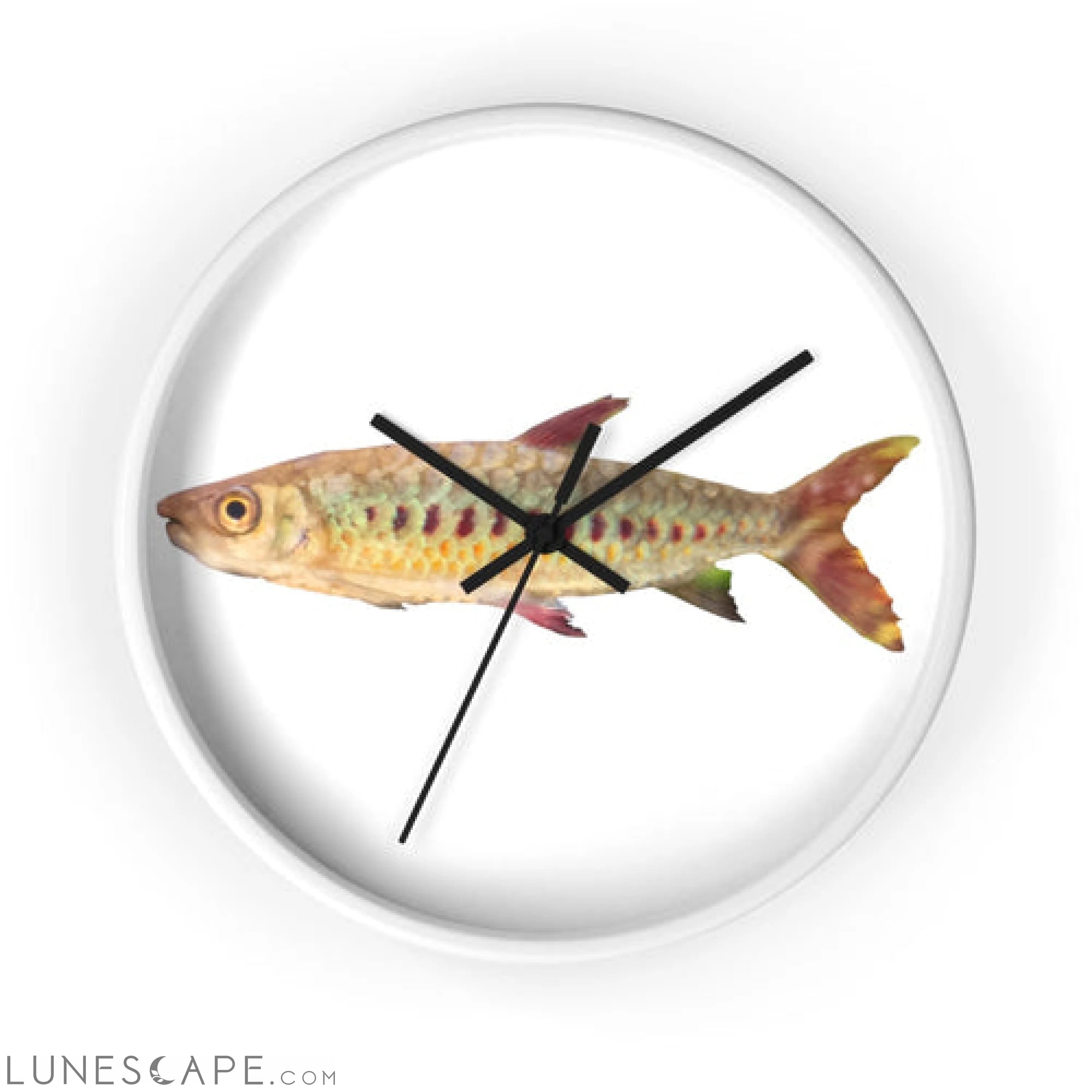 Colorful Fish Wall clock LUNESCAPE