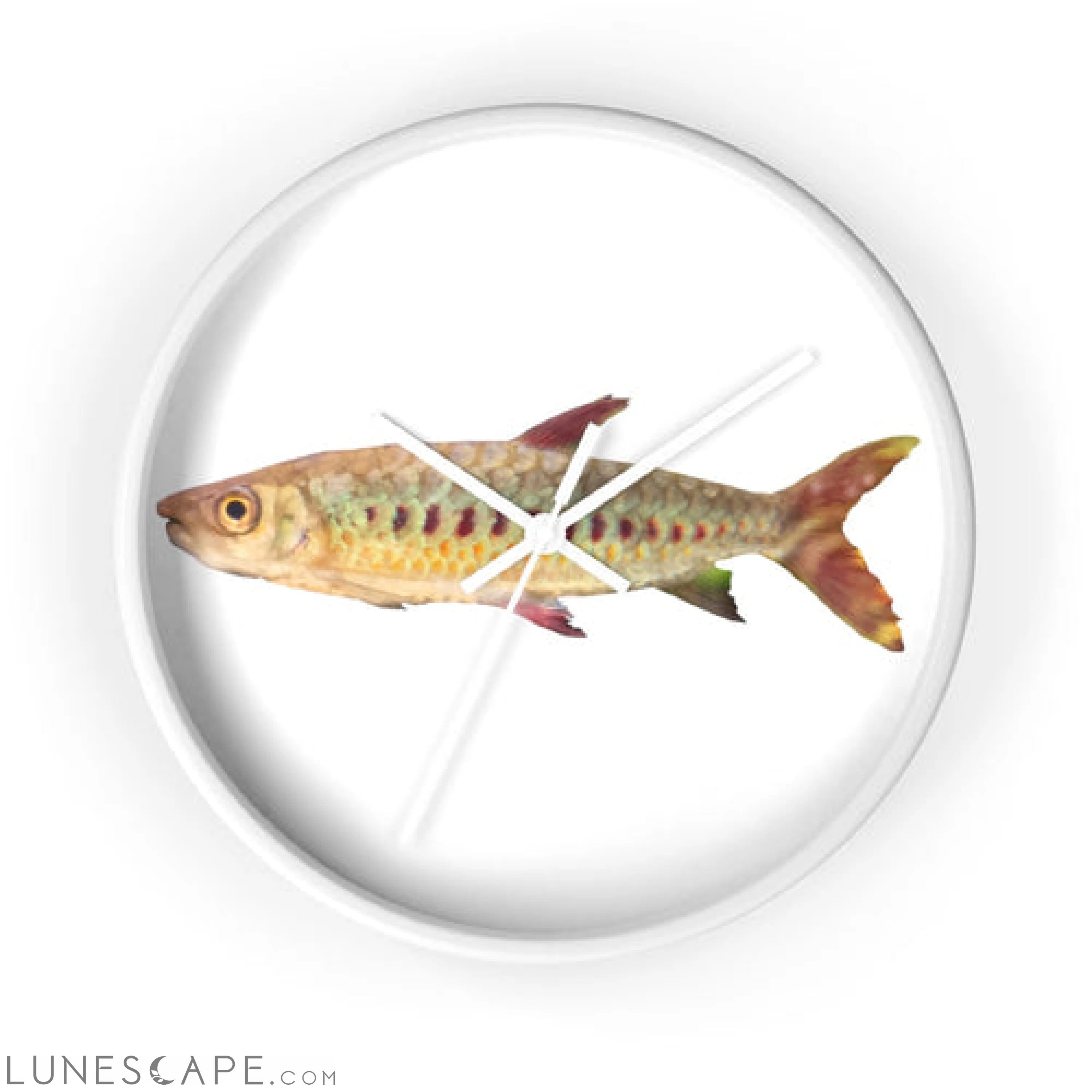Colorful Fish Wall clock LUNESCAPE