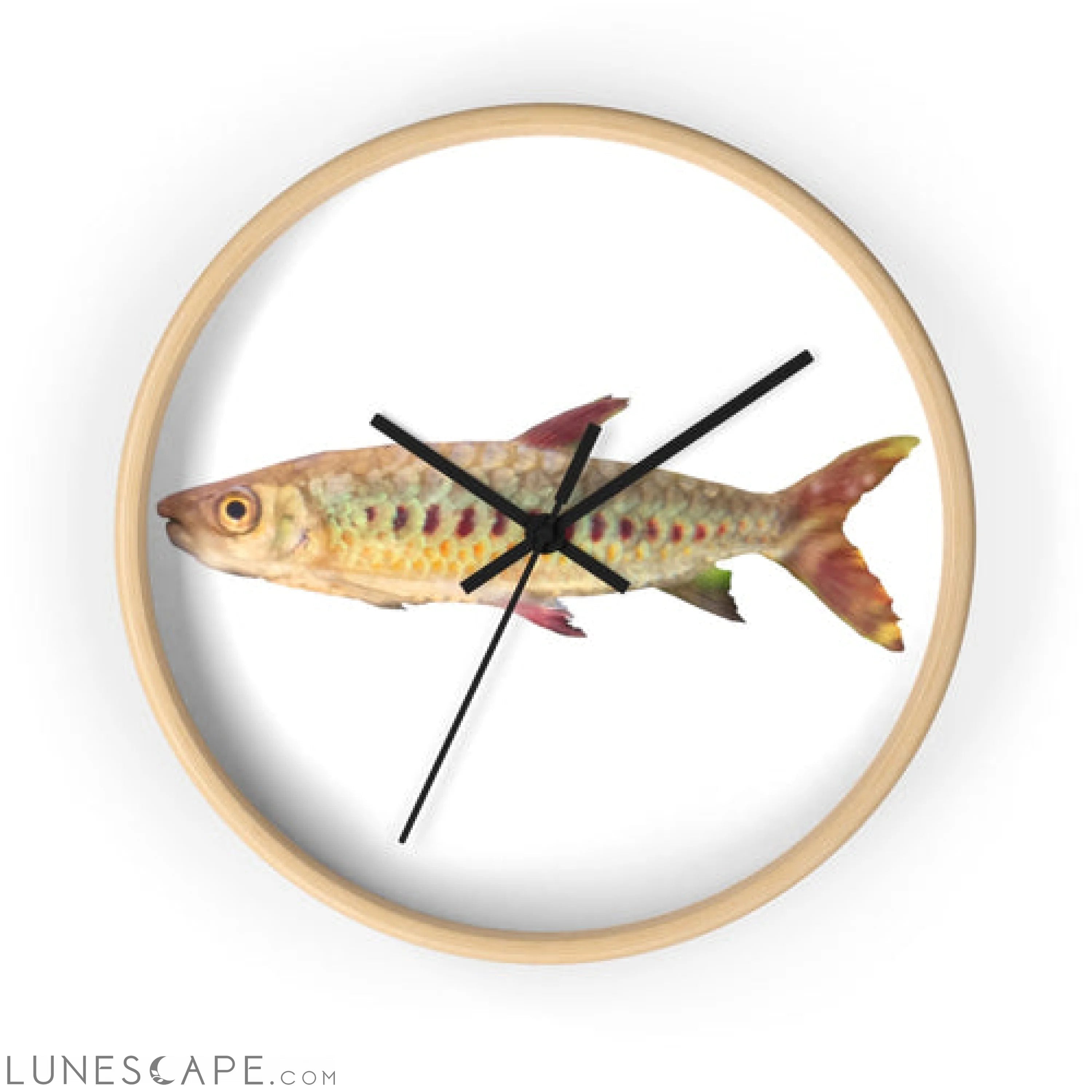 Colorful Fish Wall clock LUNESCAPE