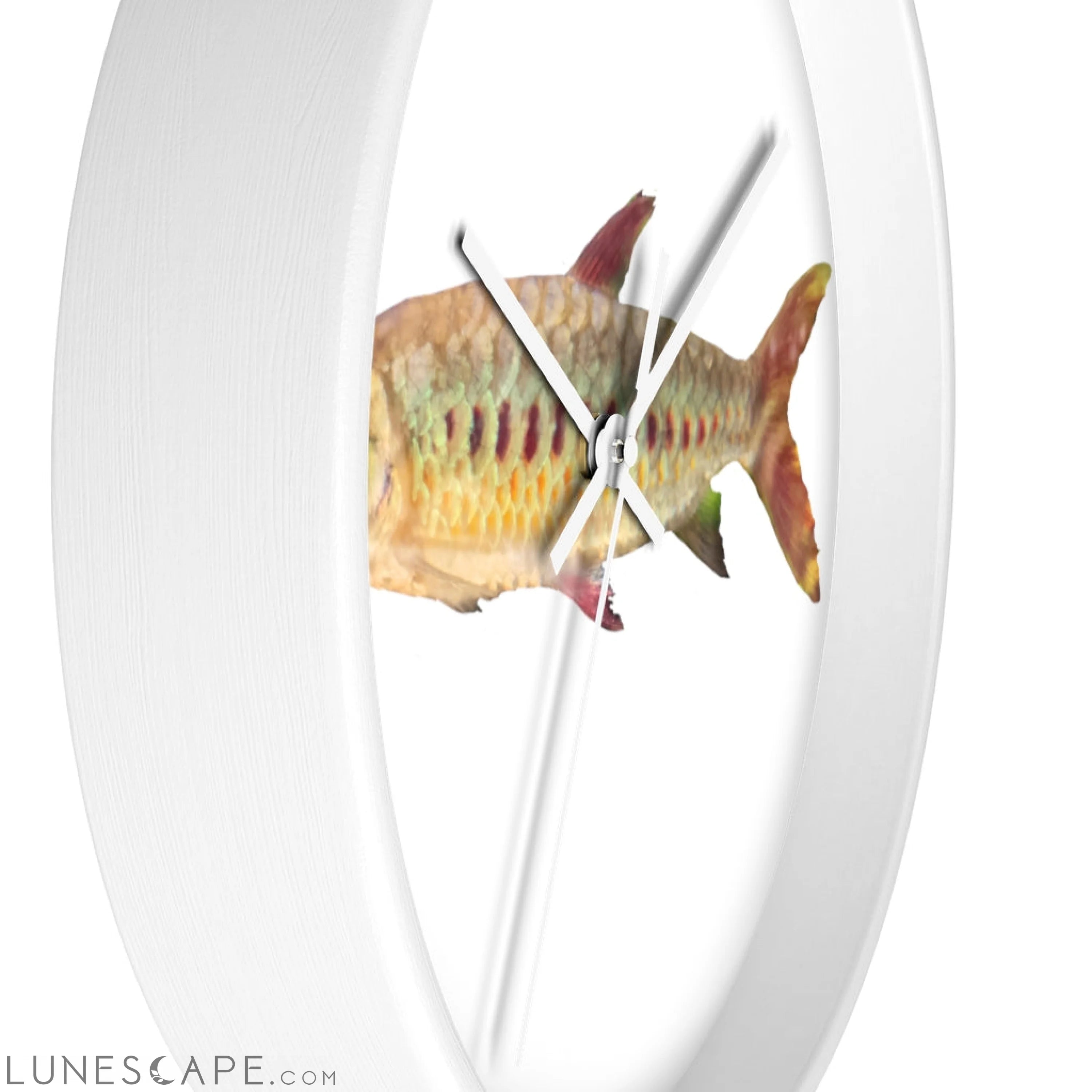 Colorful Fish Wall clock LUNESCAPE