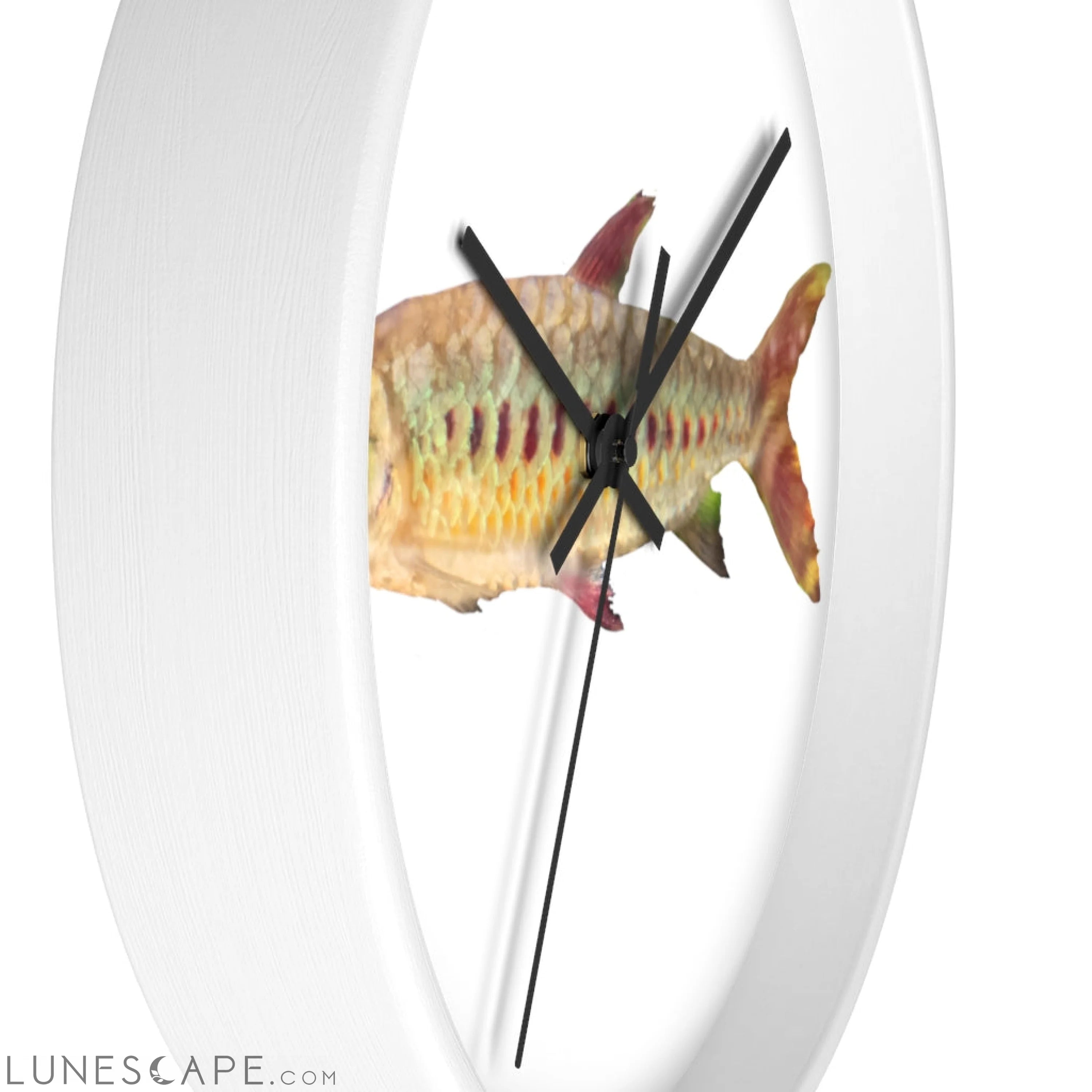 Colorful Fish Wall clock LUNESCAPE