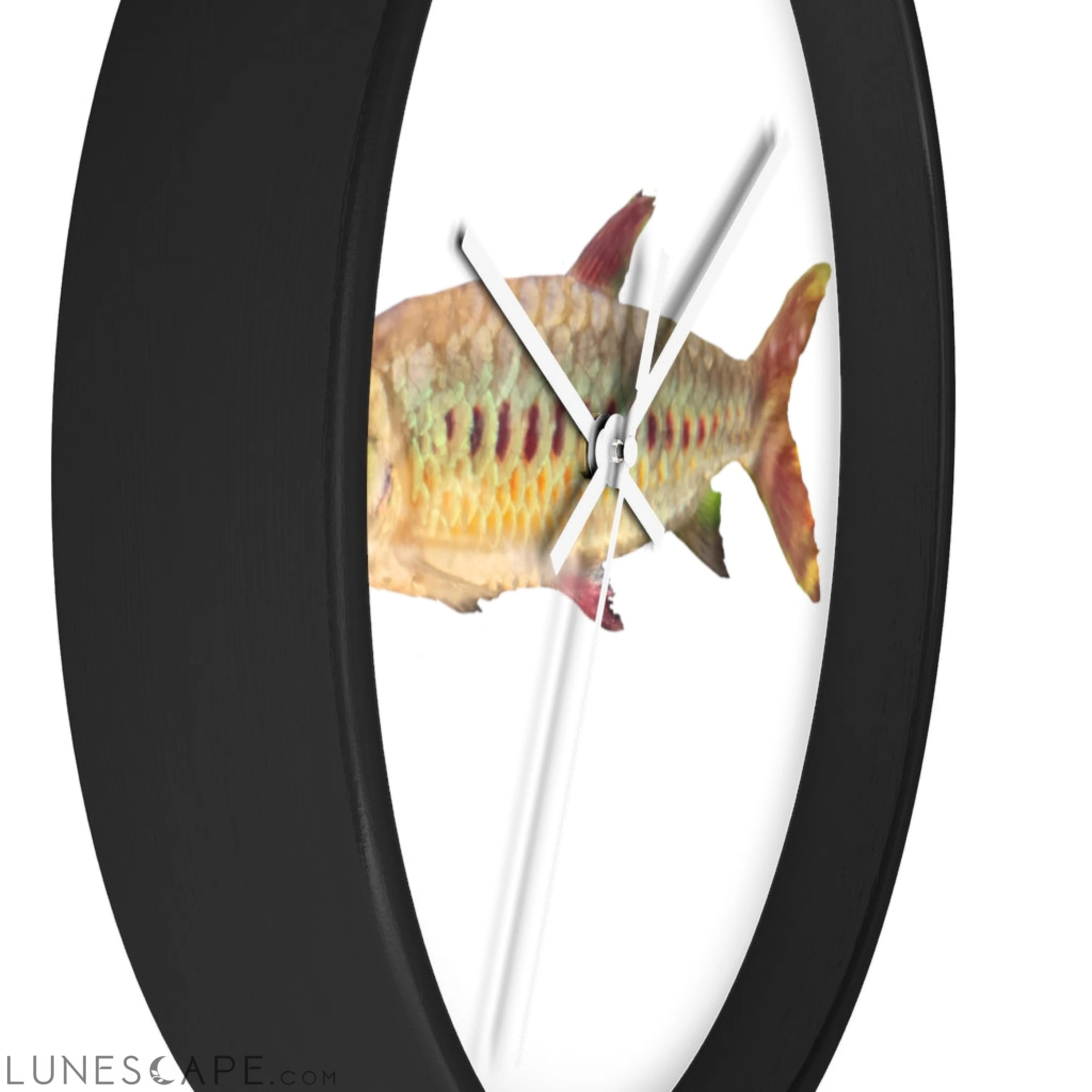Colorful Fish Wall clock LUNESCAPE