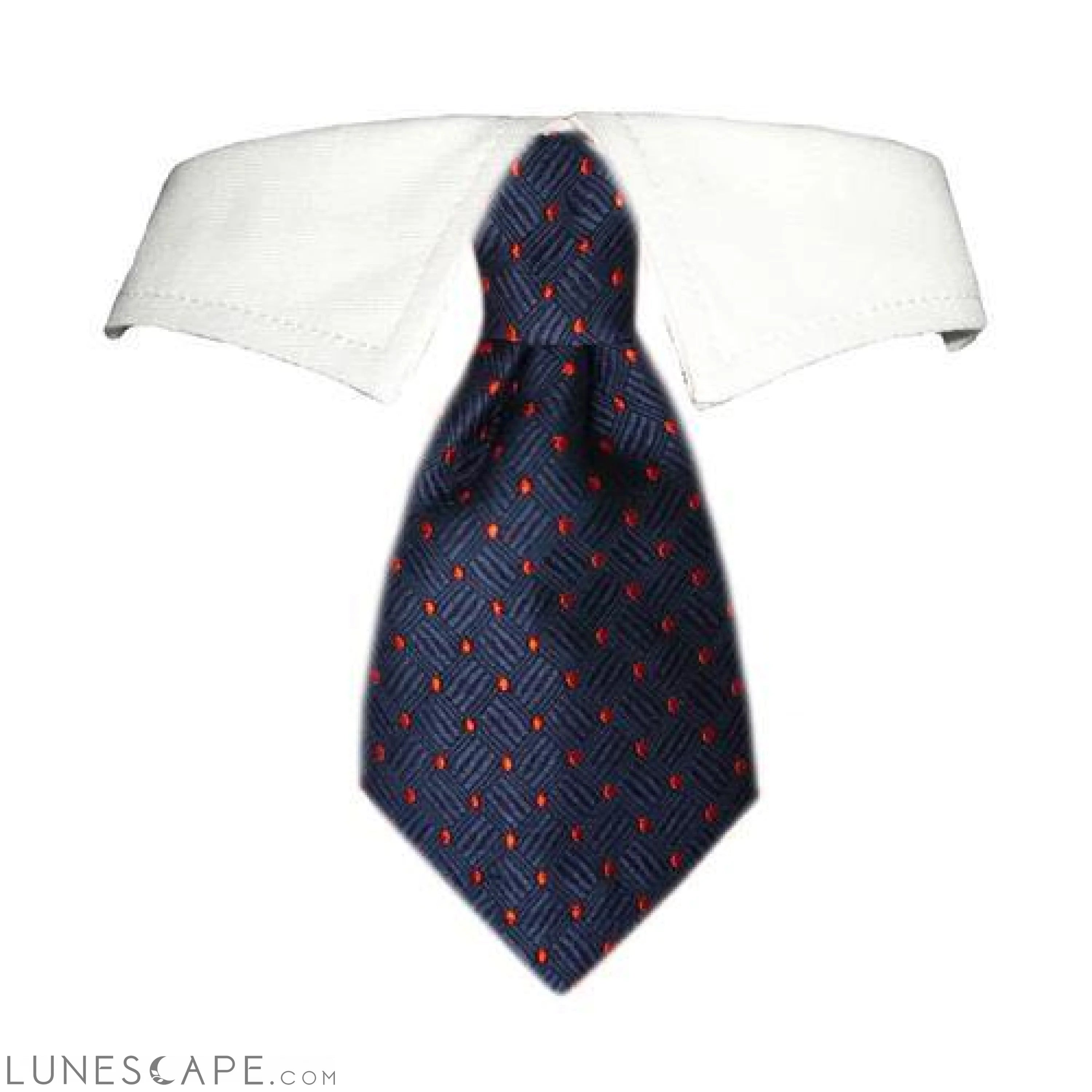 Colton Shirt Collar for Pets LUNESCAPE