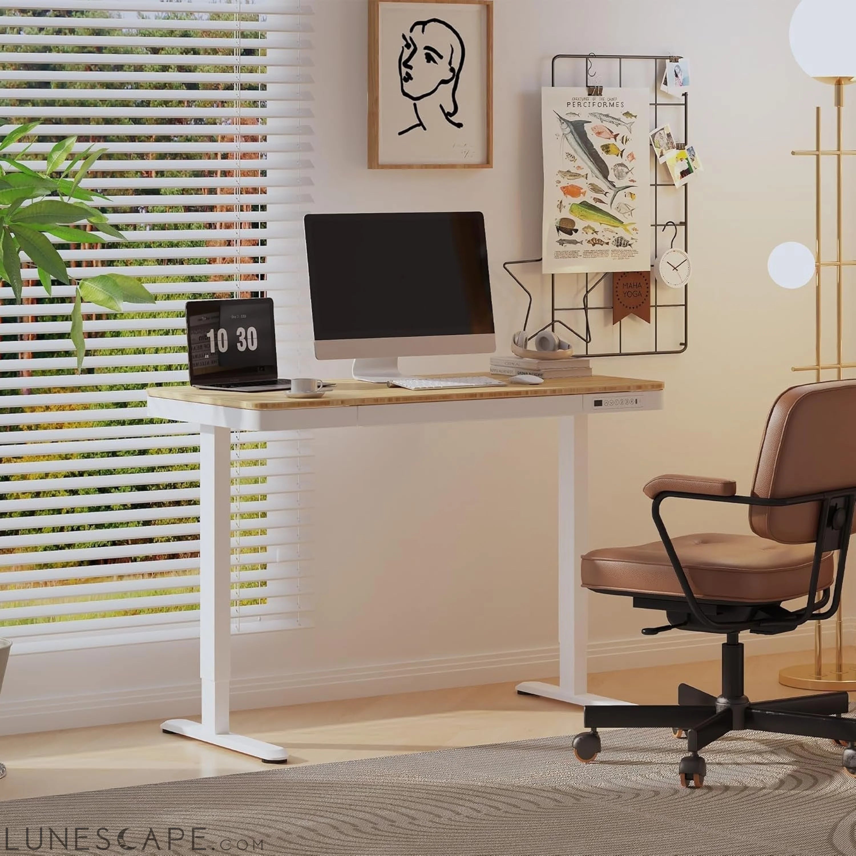 Comhar Electric Standing Desk with Drawer Desktop & Adjustable Frame LUNESCAPE