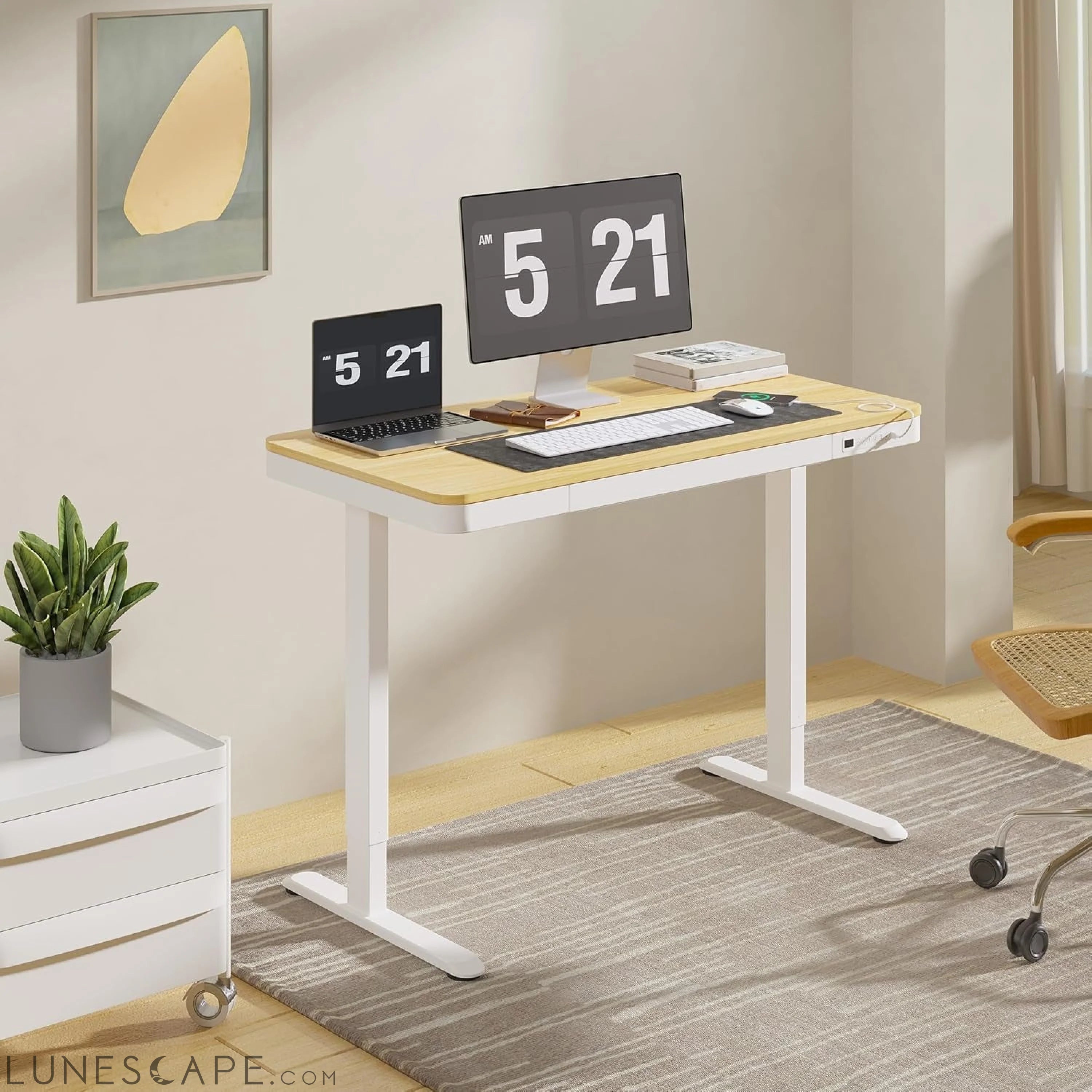 Comhar Electric Standing Desk with Drawers Charging USB Port, Height LUNESCAPE