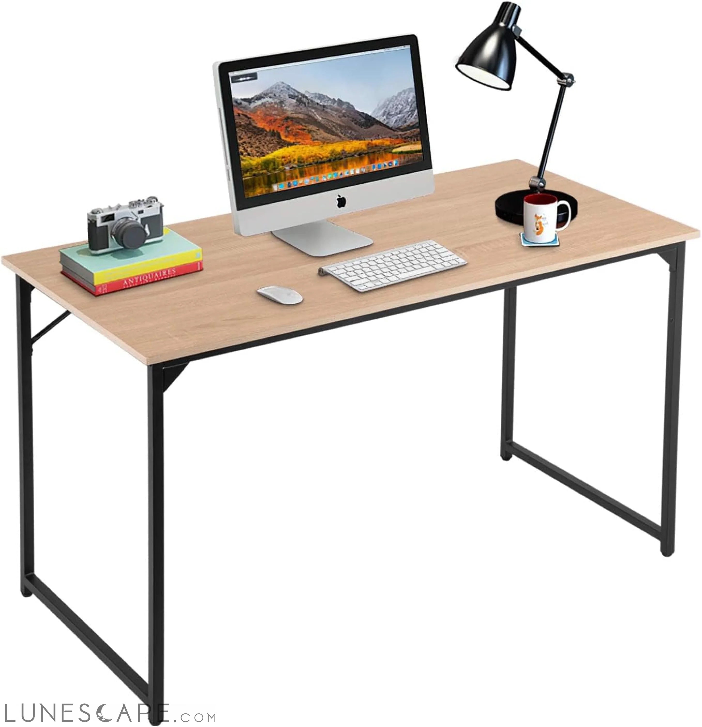 Computer Desk,47.2 Inches Home Office Desk Writing Study Table Modern LUNESCAPE