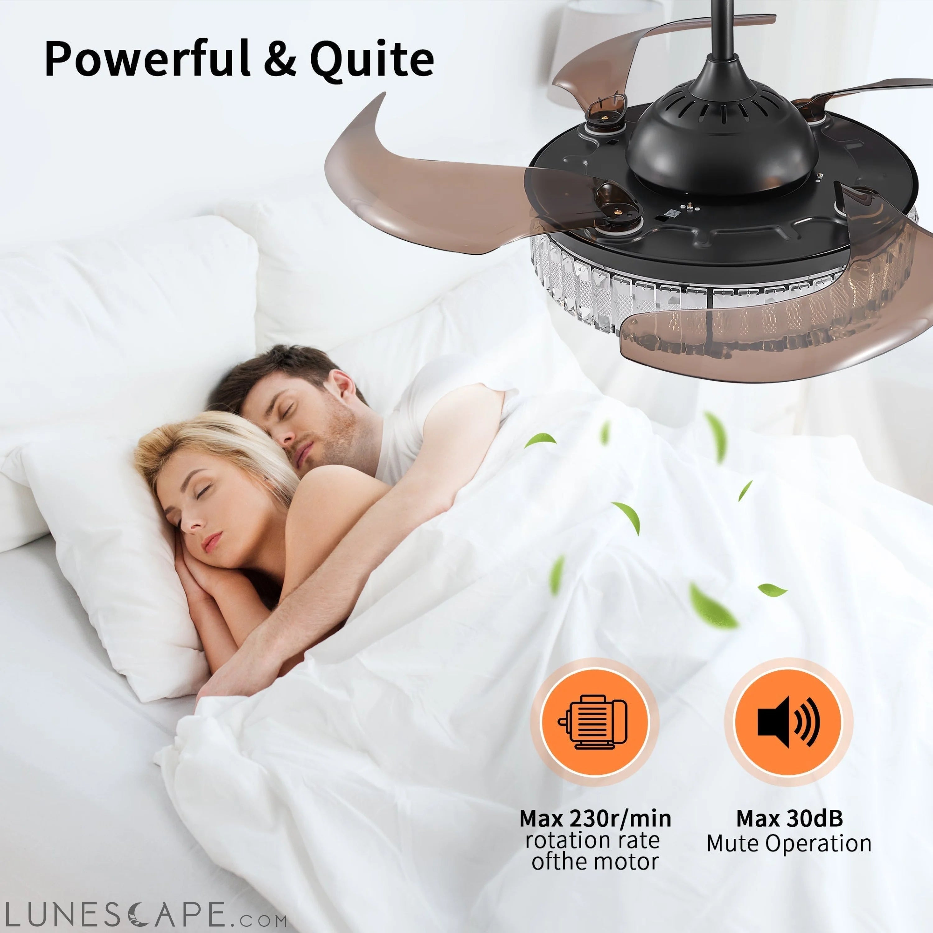 Contemporary LED Retractable Ceiling Fan with Light and Remote LUNESCAPE