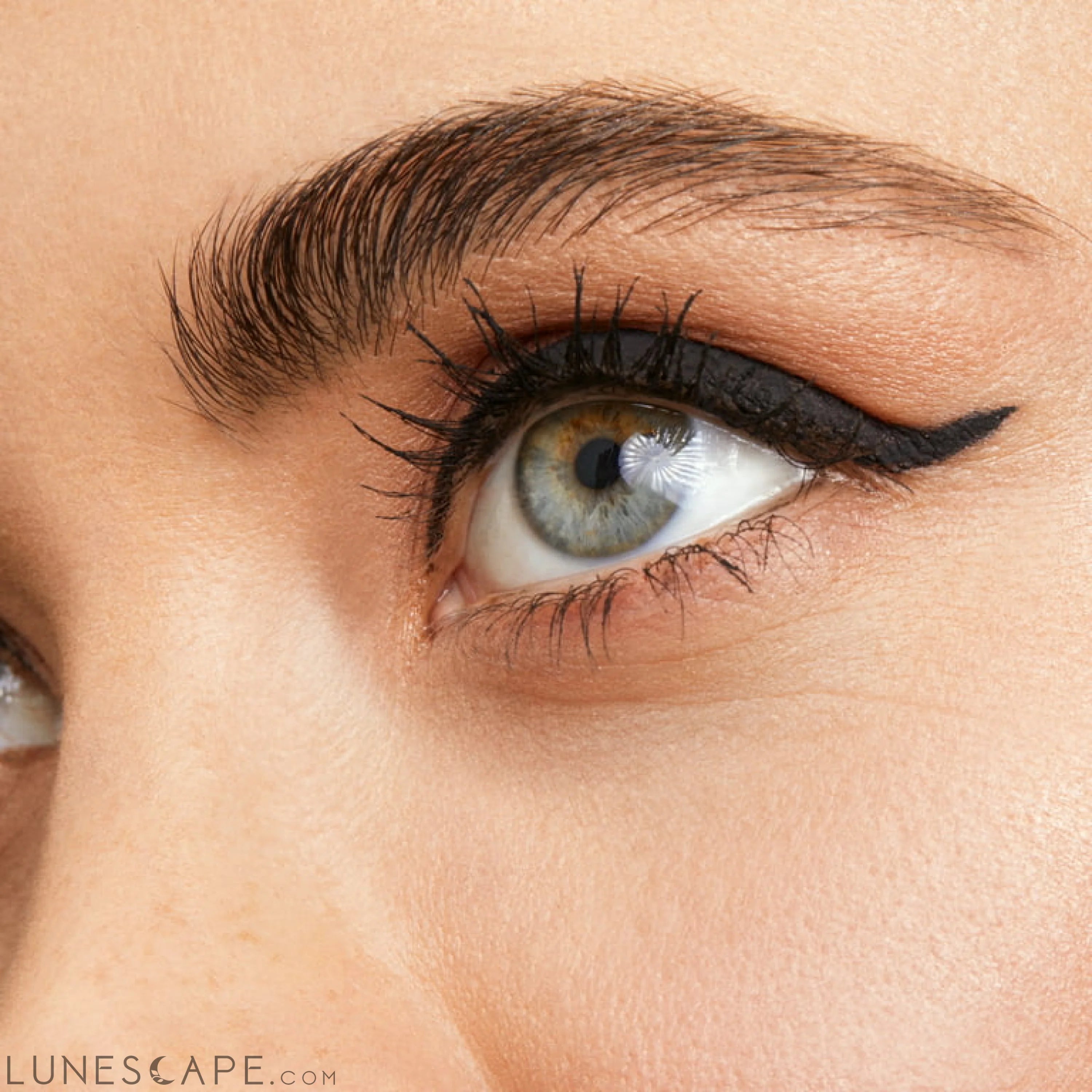 COVERGIRL Lash Blast Volume Mascara & Perfect Point Plus Eye Pencil LUNESCAPE