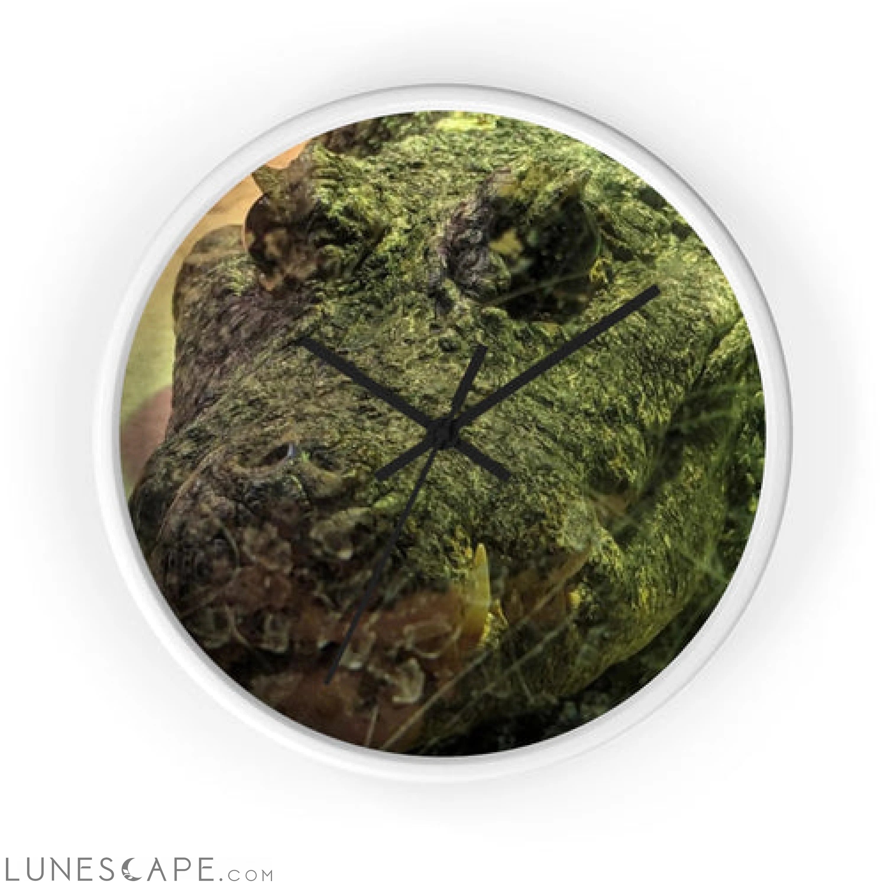 Crocodile Wall clock LUNESCAPE
