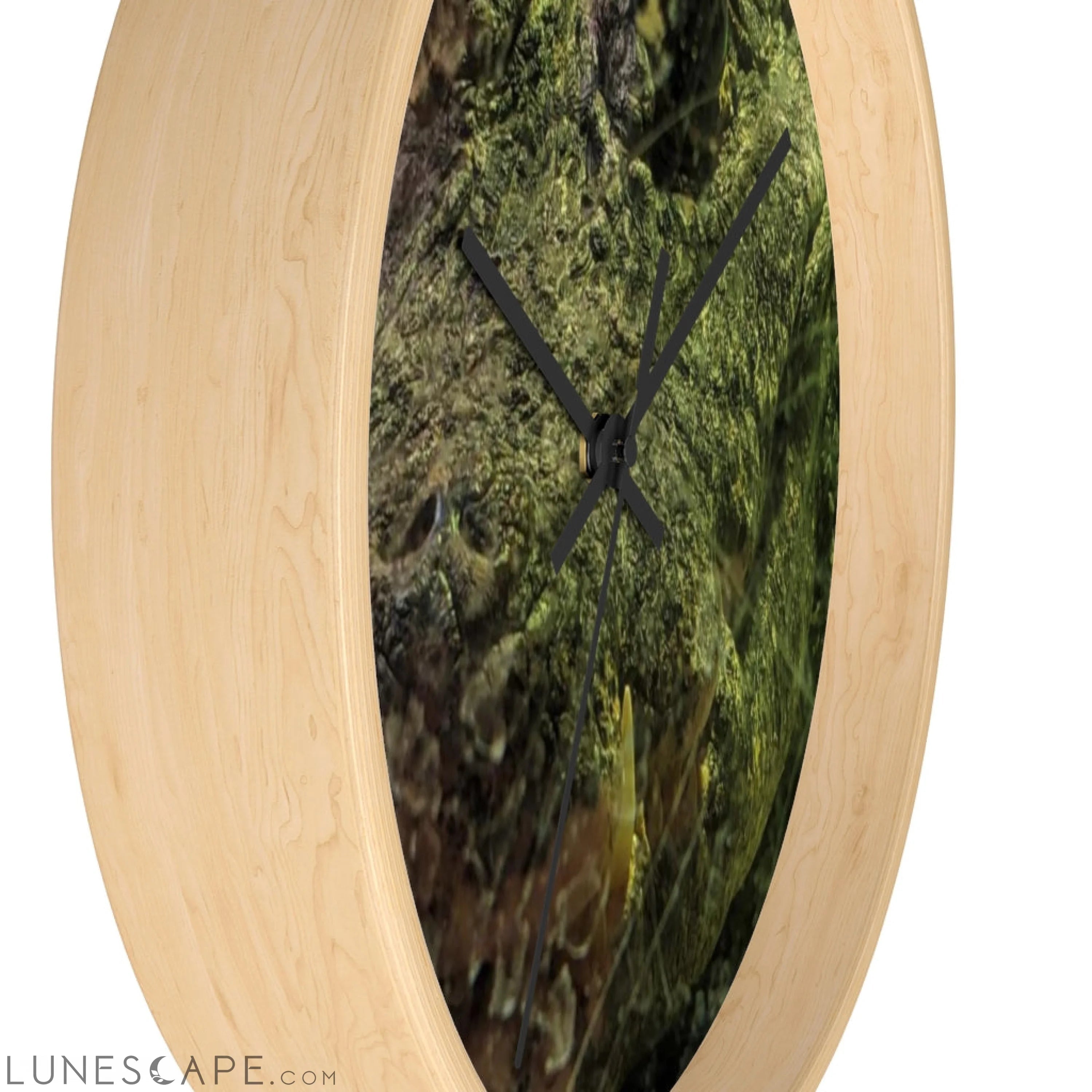 Crocodile Wall clock LUNESCAPE