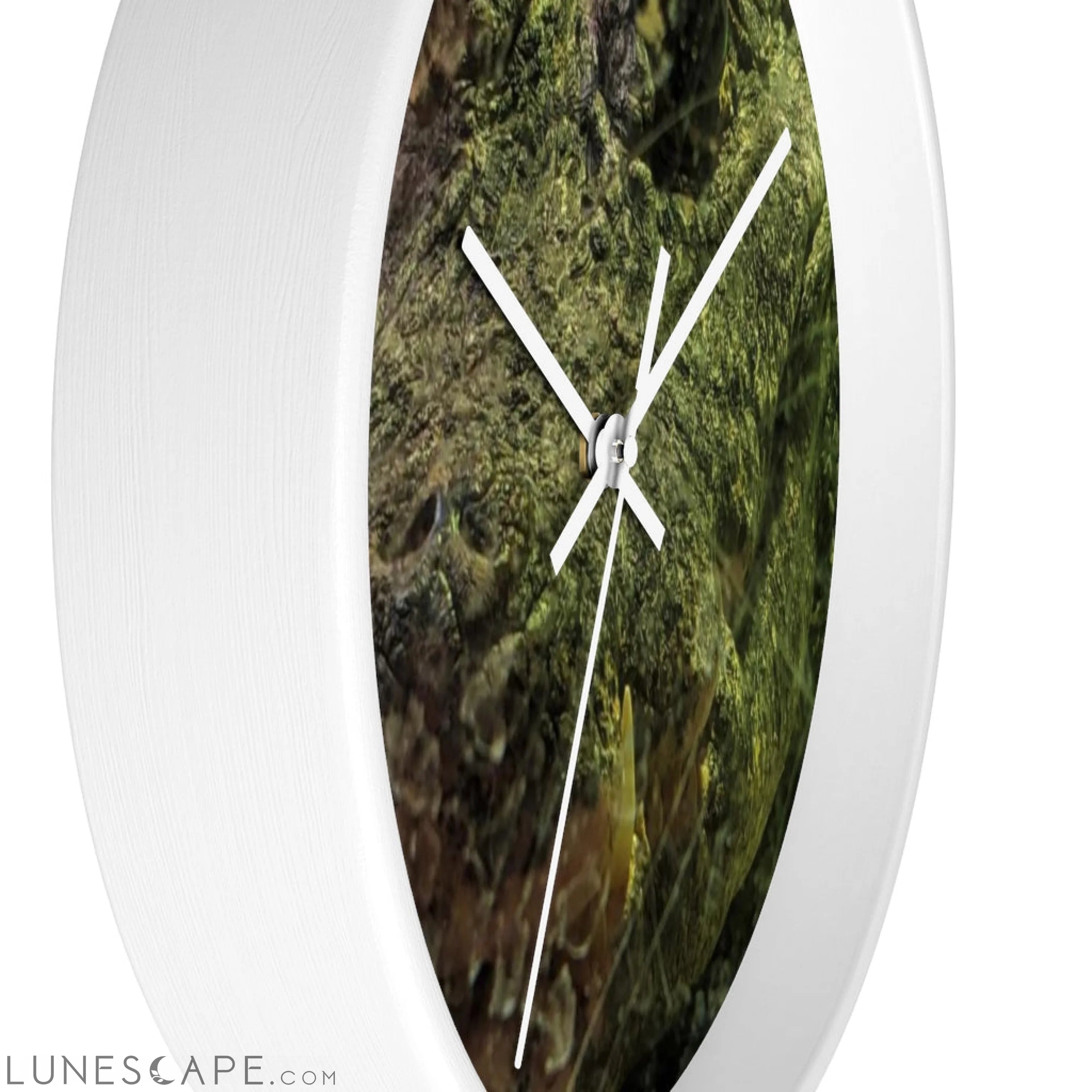 Crocodile Wall clock LUNESCAPE