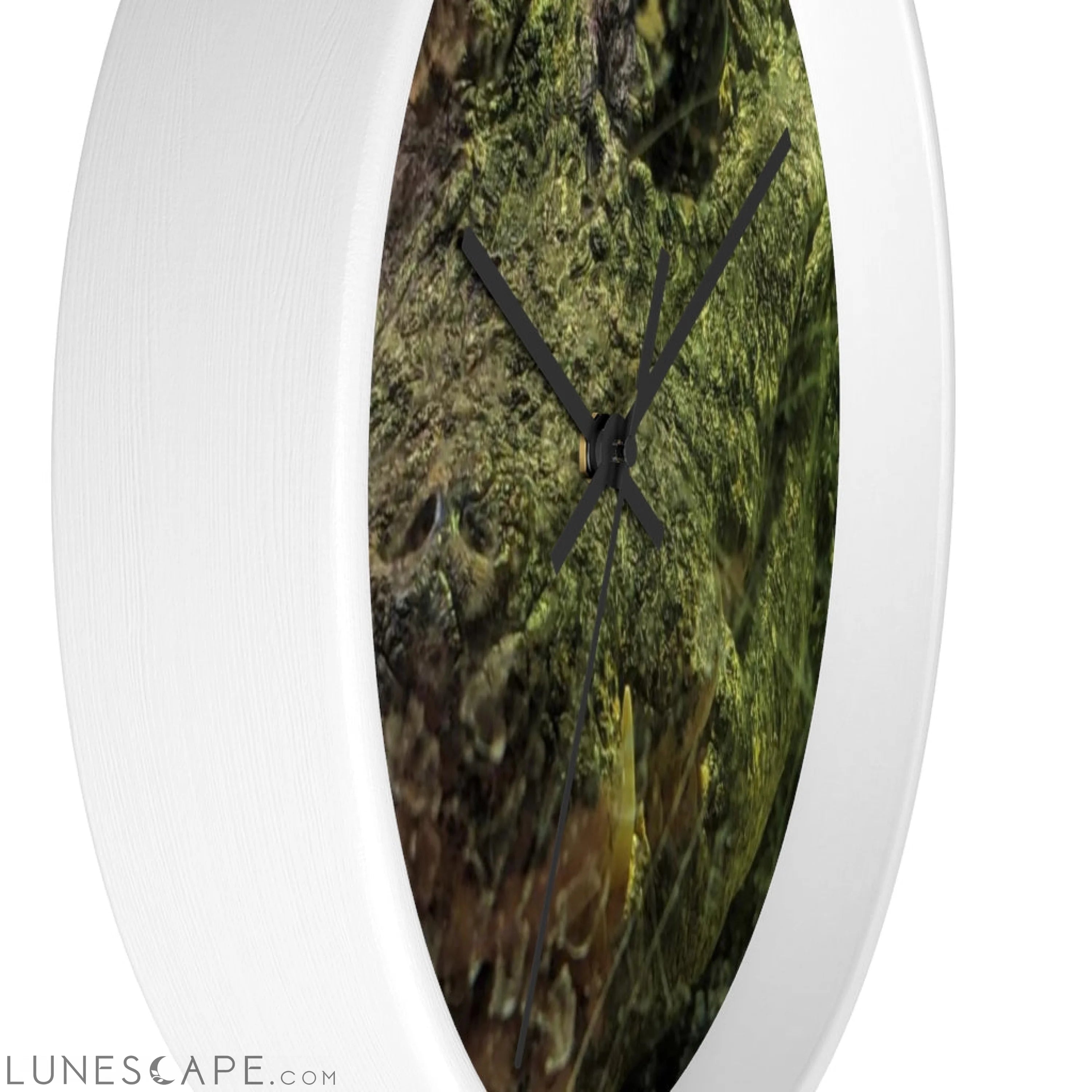 Crocodile Wall clock LUNESCAPE