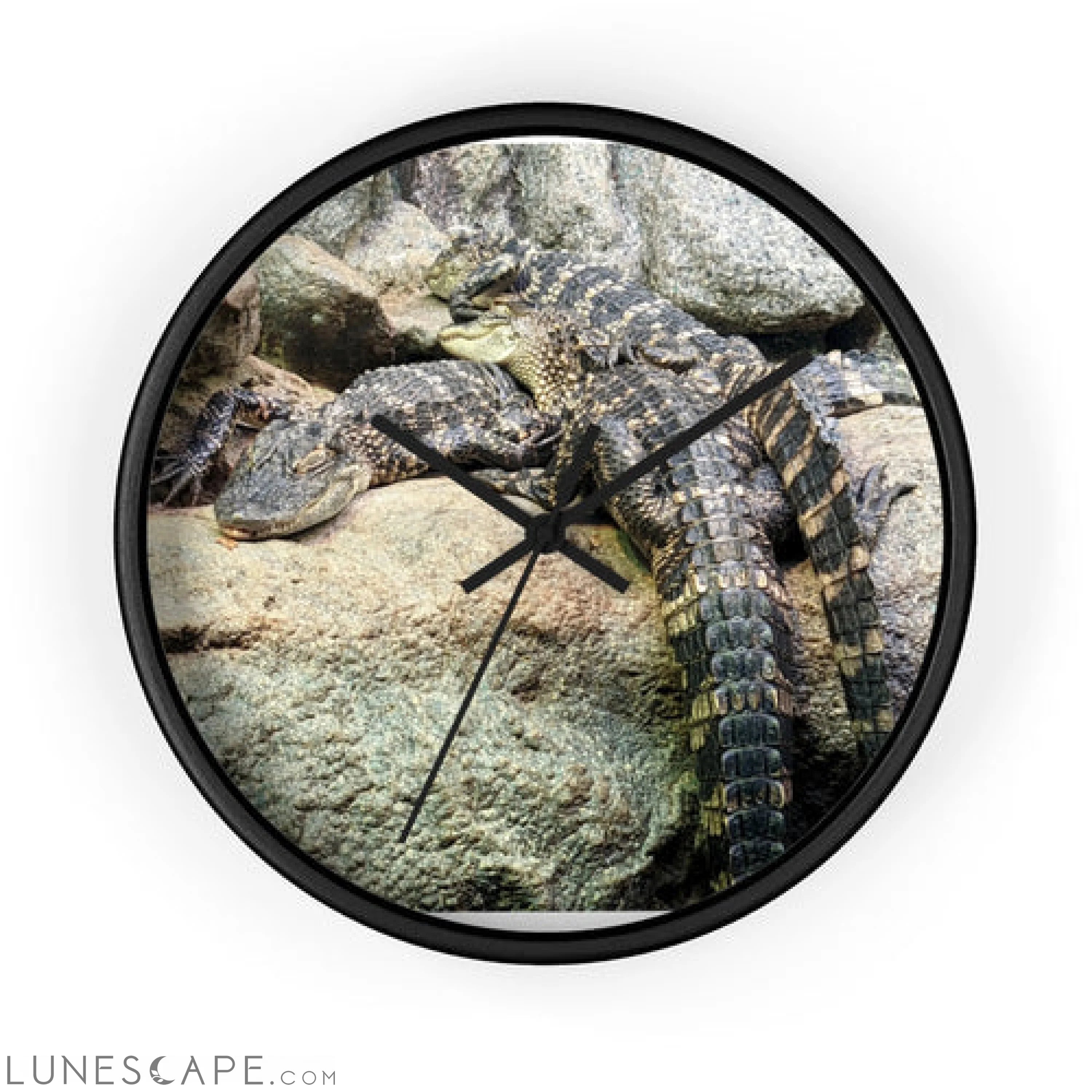Crocodiles Wall clock LUNESCAPE