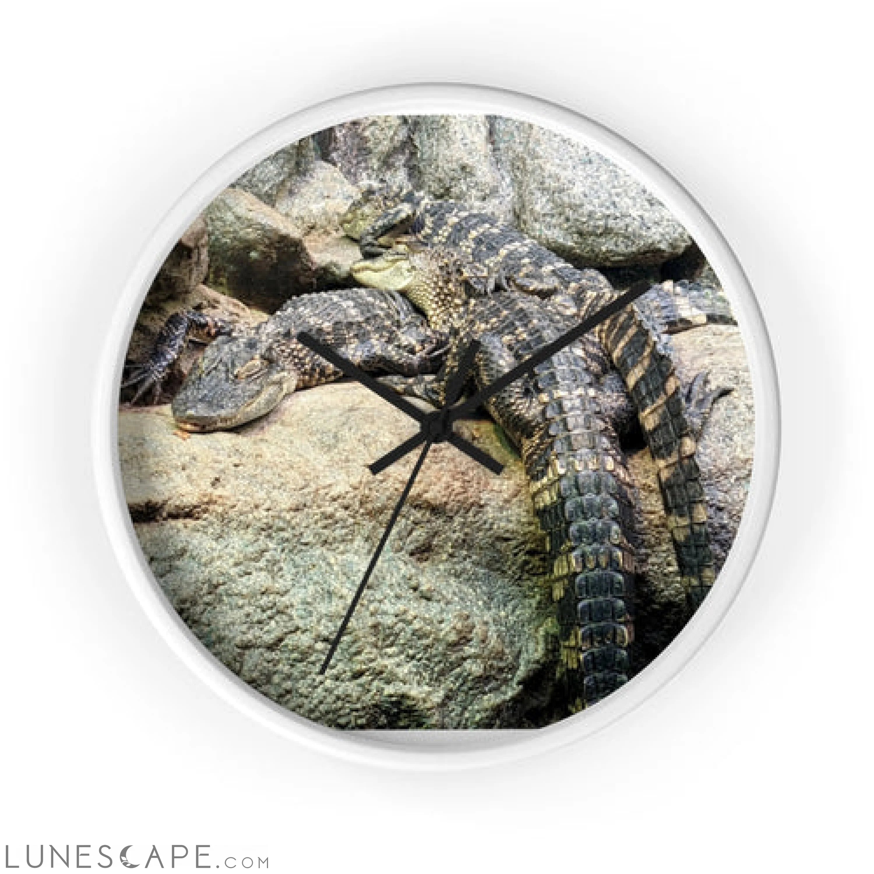 Crocodiles Wall clock LUNESCAPE