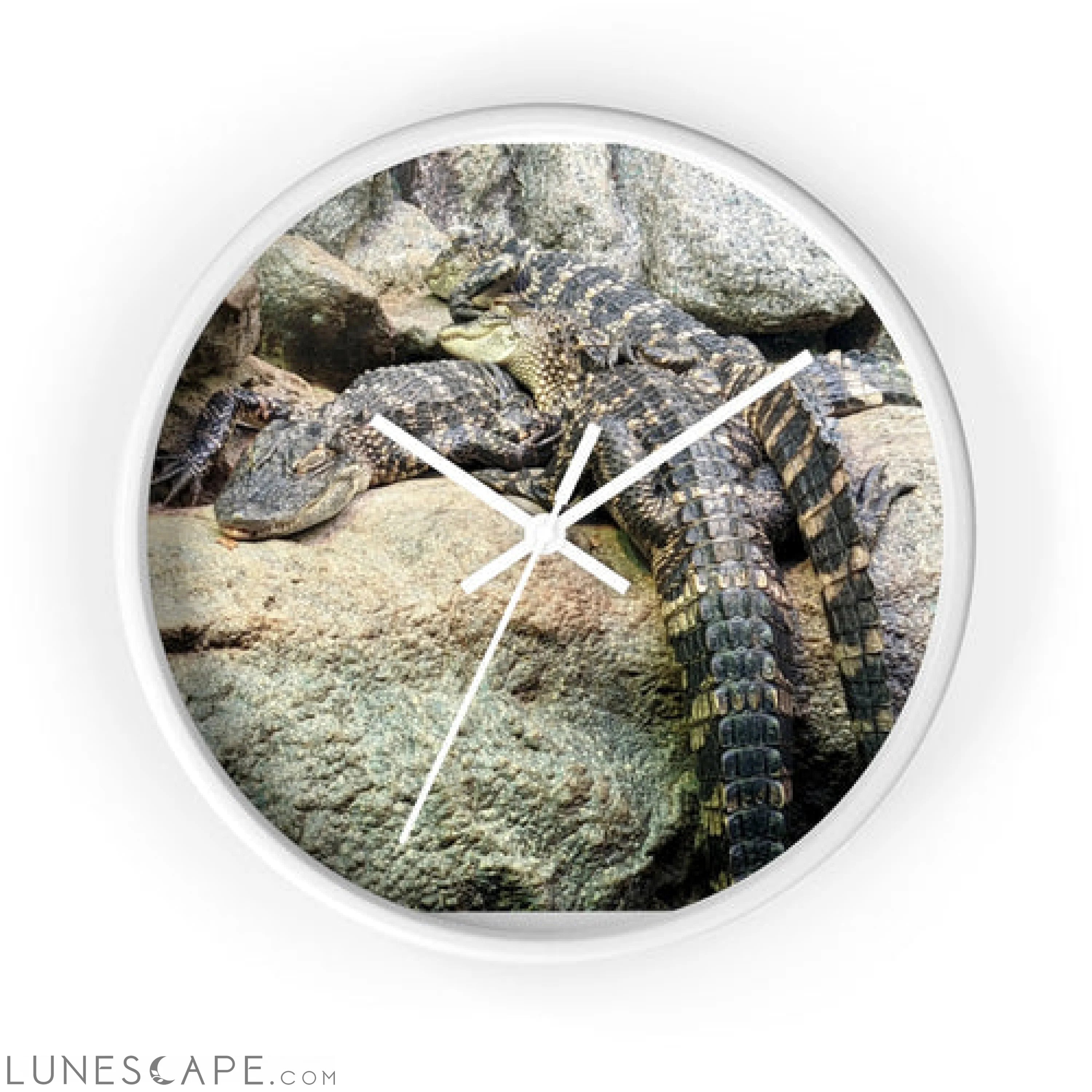 Crocodiles Wall clock LUNESCAPE