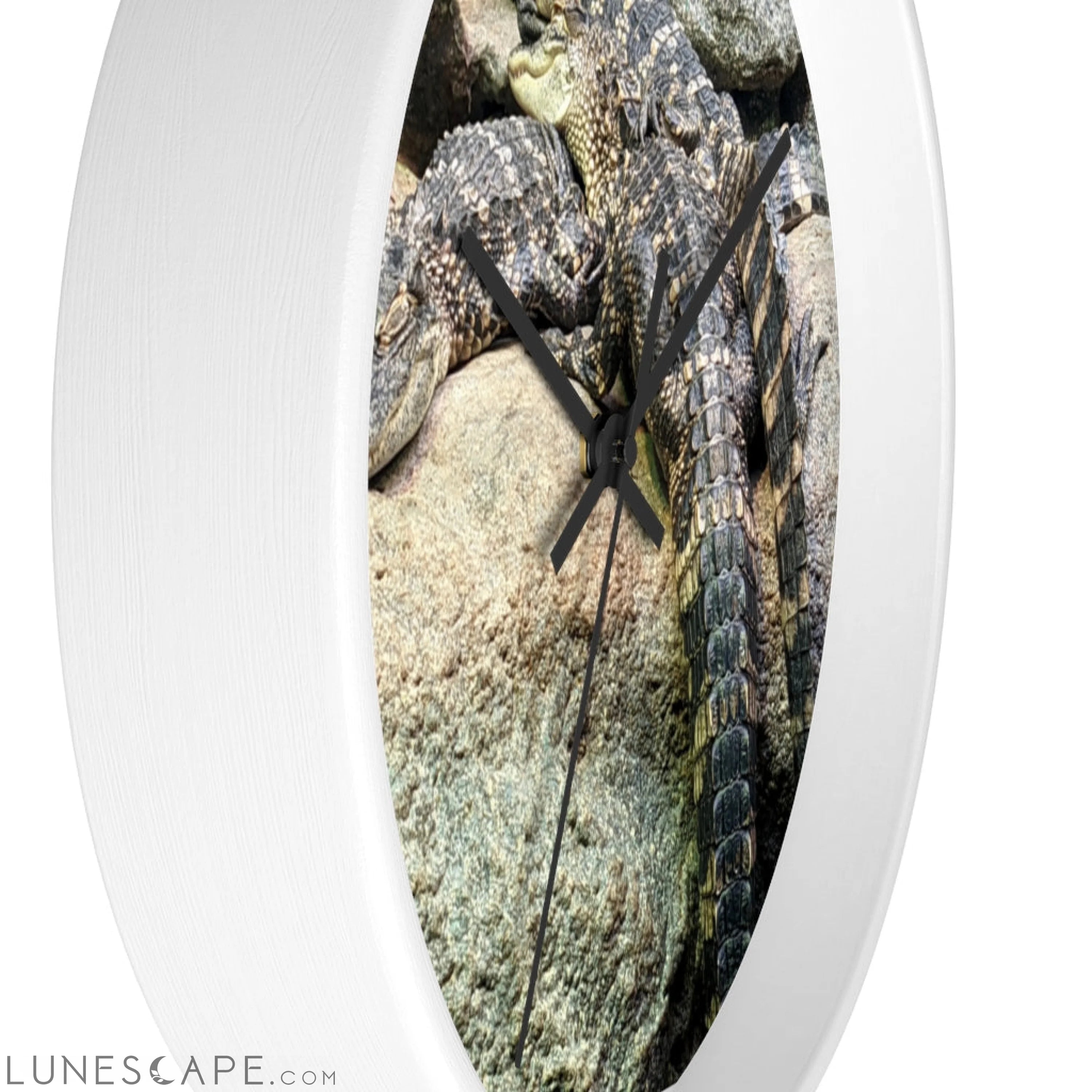 Crocodiles Wall clock LUNESCAPE