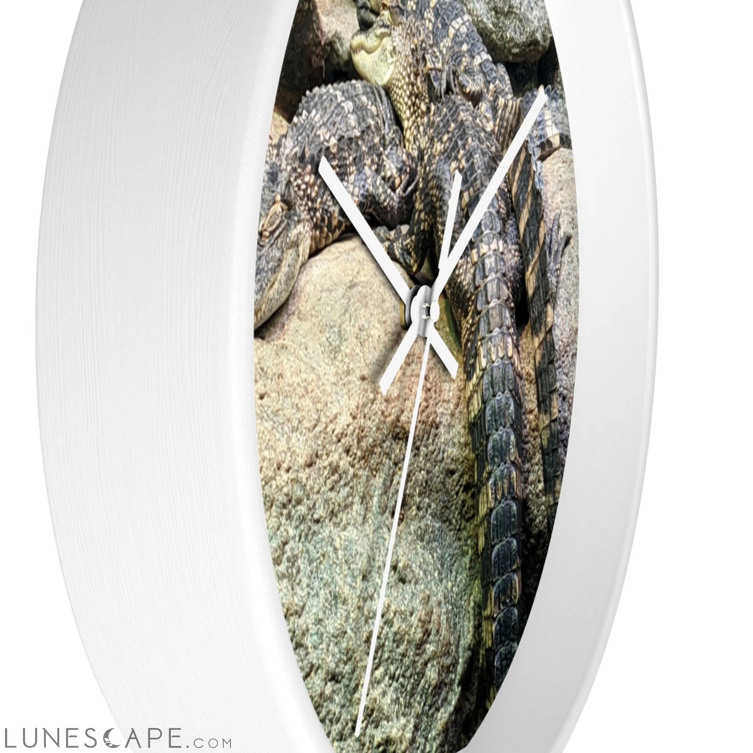 Crocodiles Wall clock LUNESCAPE