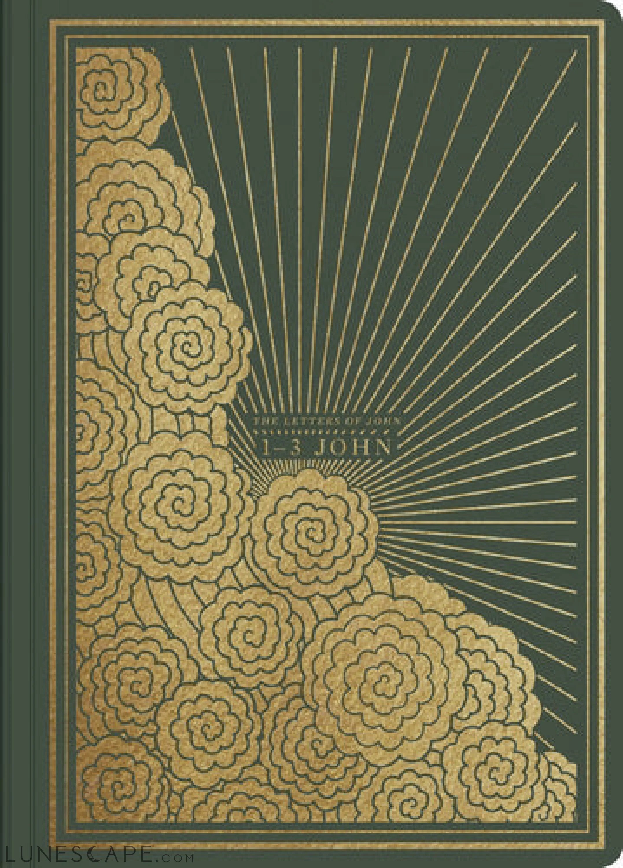 Crossway Books ESV Illuminated Scripture Journal 1-3 John, LUNESCAPE