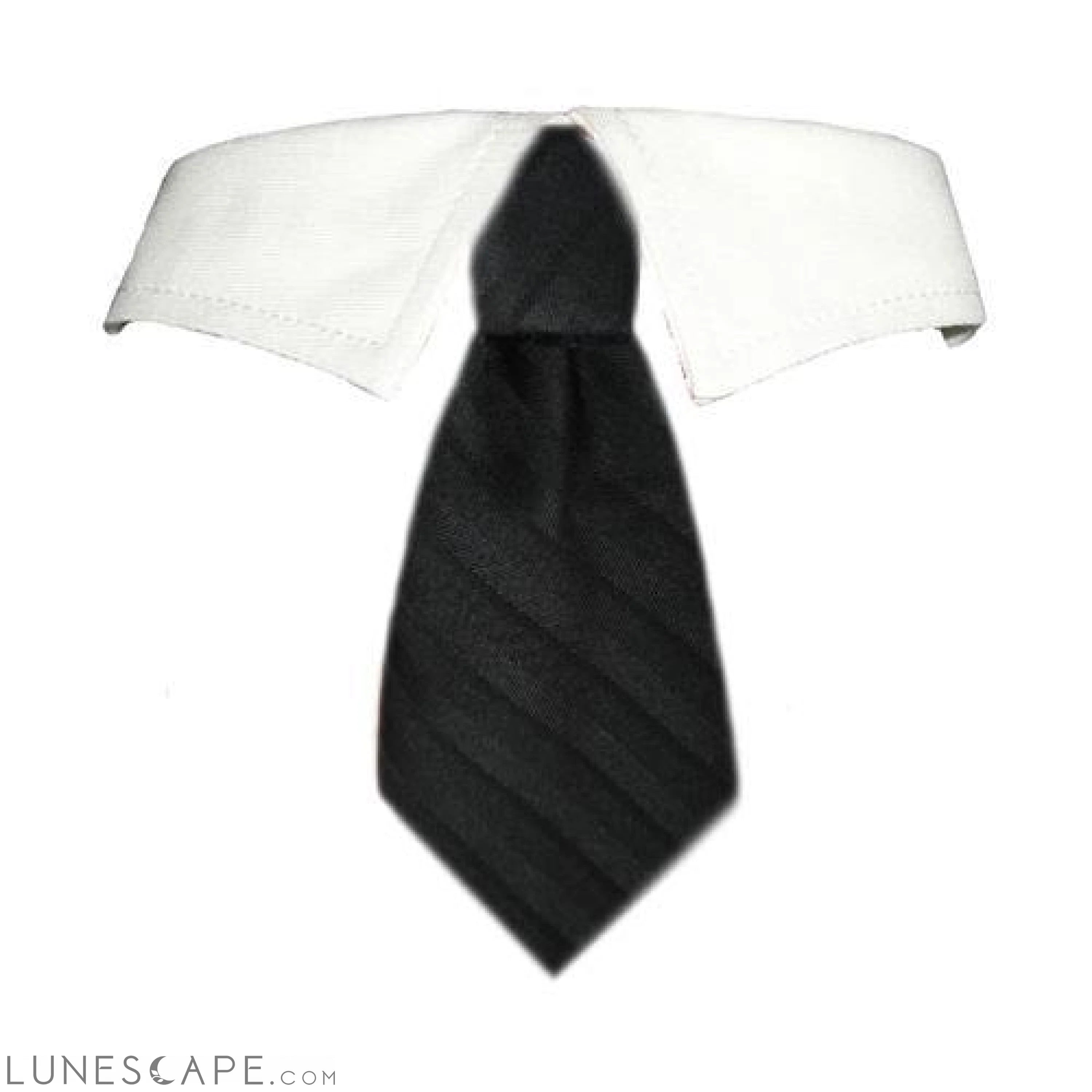 David Shirt Collar for Pets LUNESCAPE