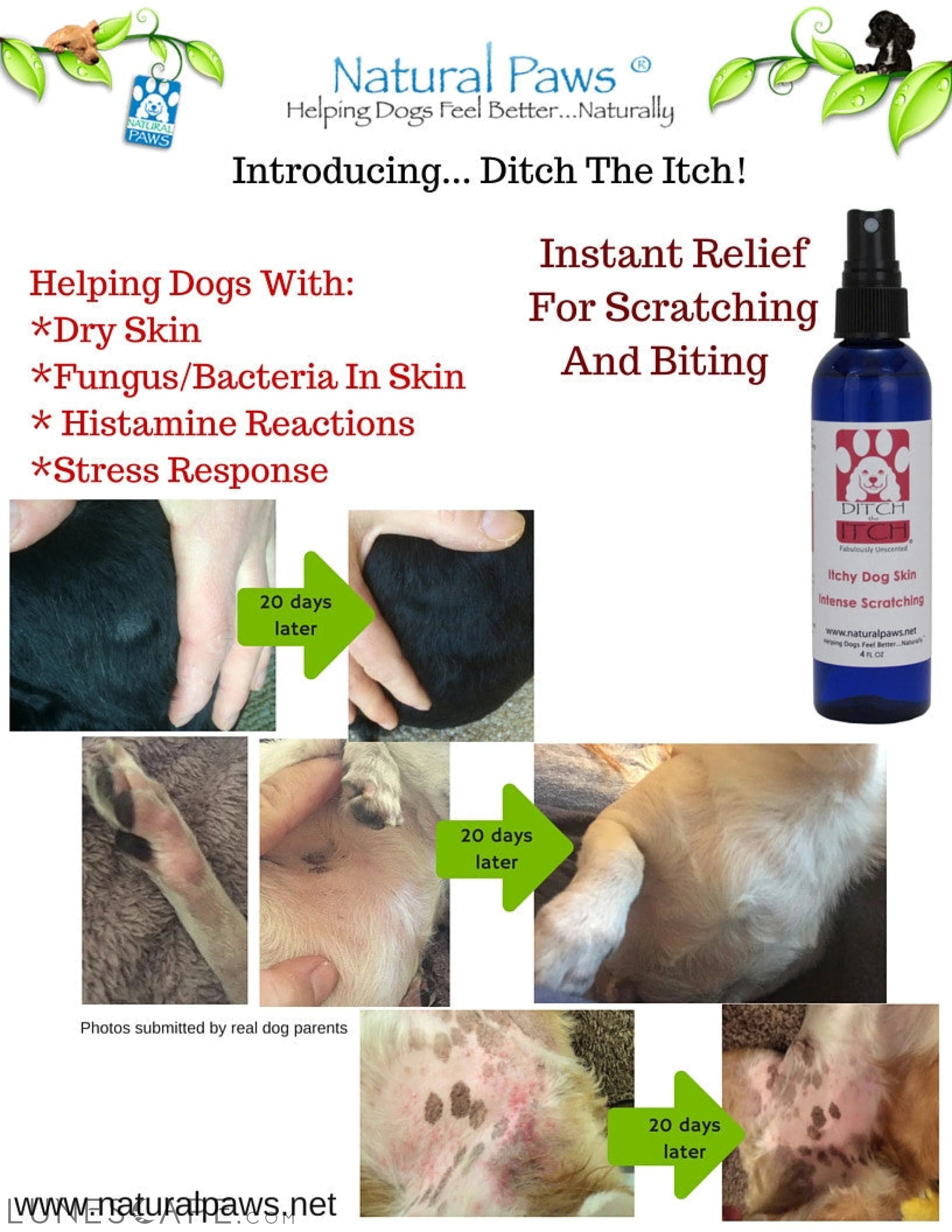 Ditch the Itch Anti-Itch Spray LUNESCAPE