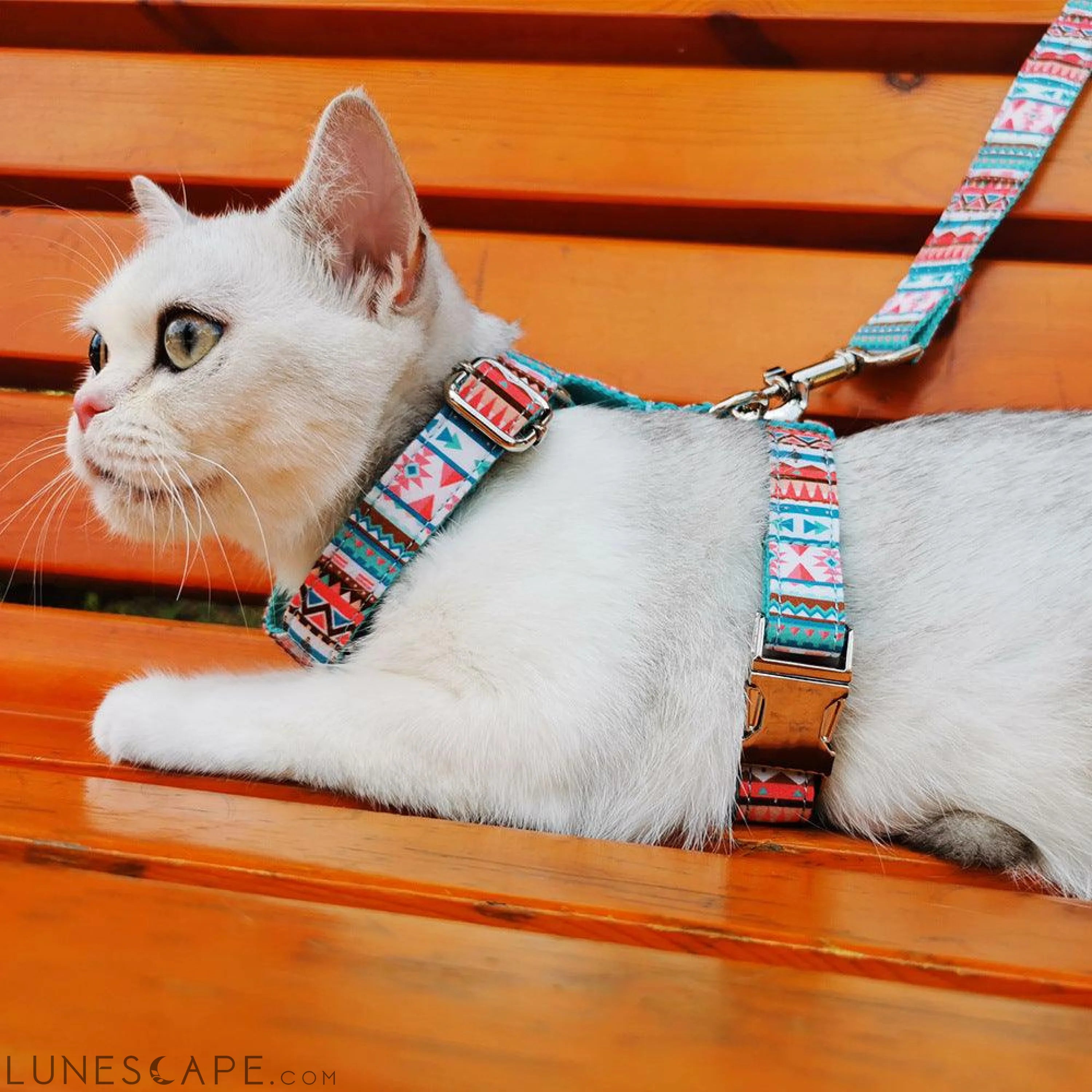 Dog Harness, Leash & Bandana Step in Bundle - Donut Bonut (2 Pieces) LUNESCAPE