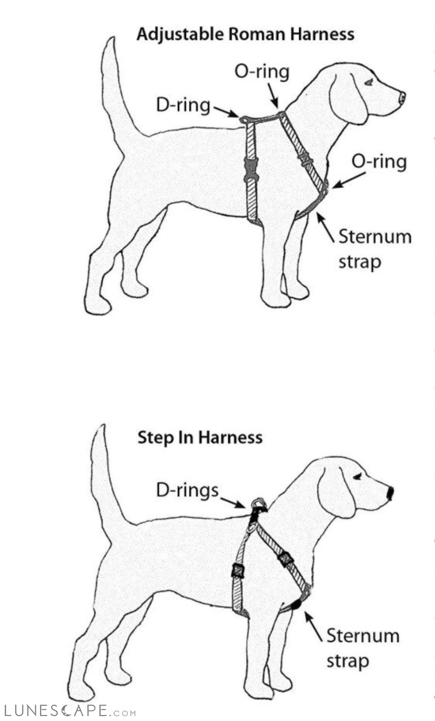 Dog Harness, Leash & Bandana Step in Bundle - Donut Bonut (2 Pieces) LUNESCAPE