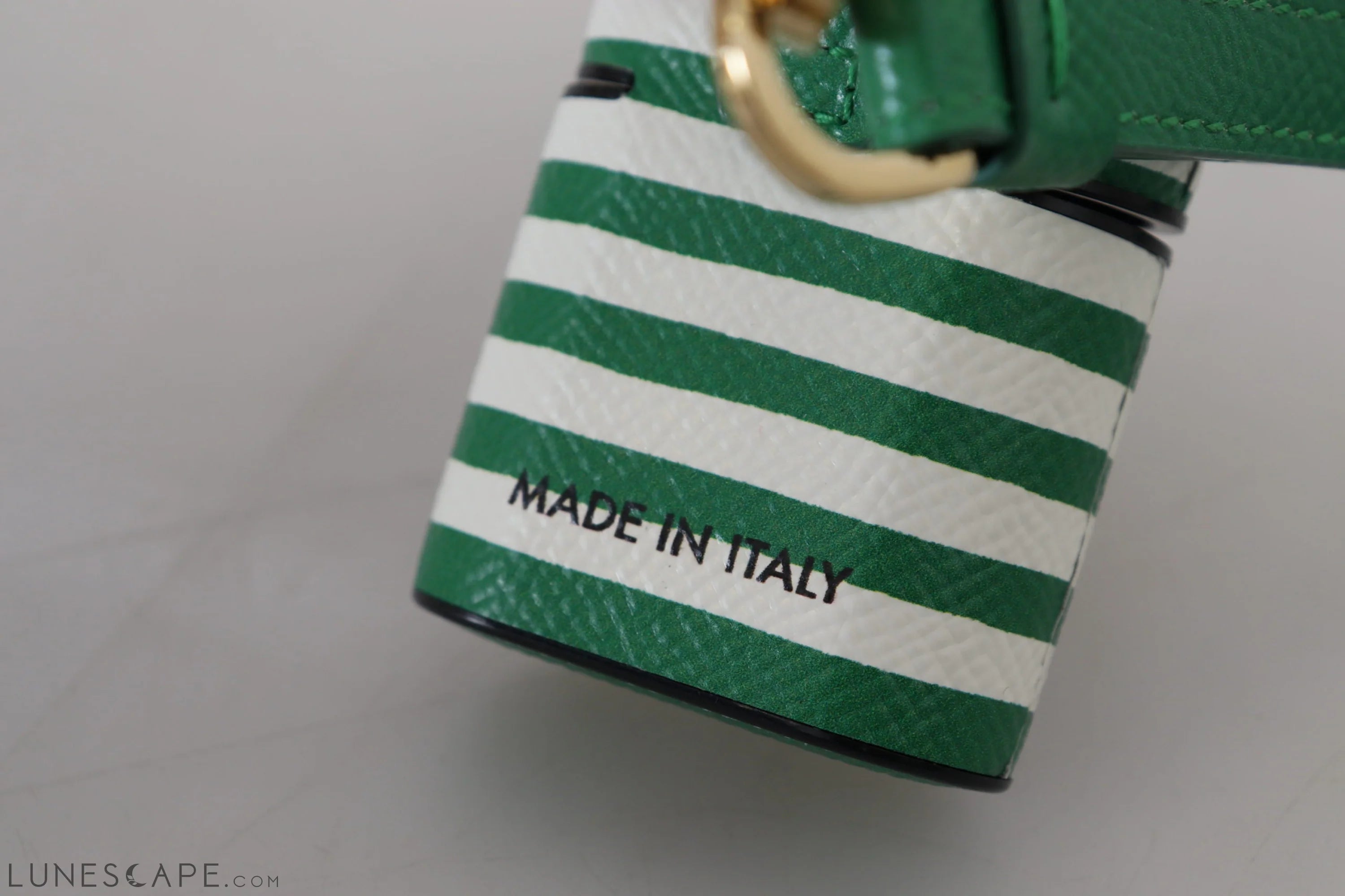 Dolce & Gabbana Elegant Leather Airpods Case - Lush Green LUNESCAPE