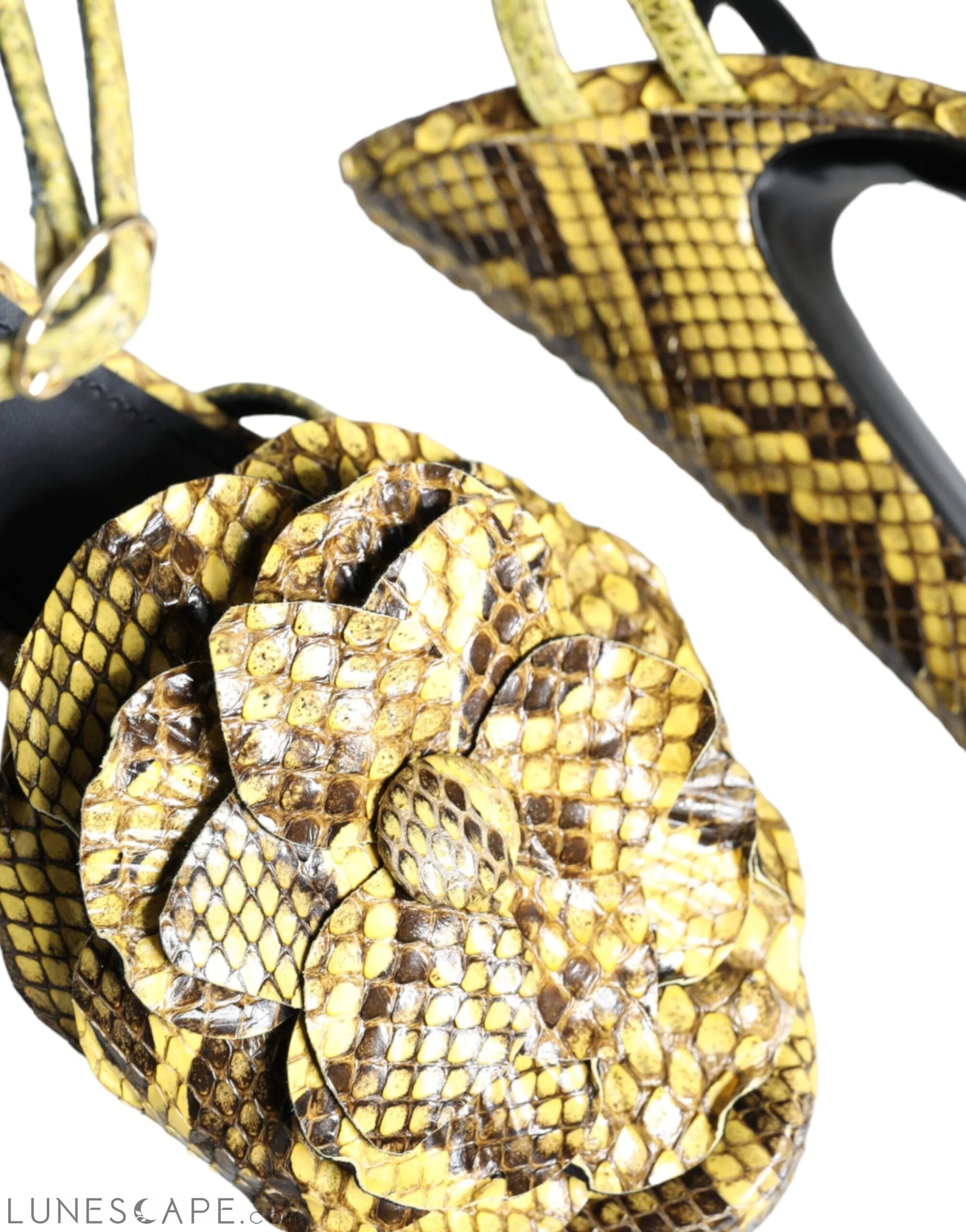 Dolce & Gabbana Yellow Exotic Leather Ankle Strap Heels Sandals Shoes LUNESCAPE
