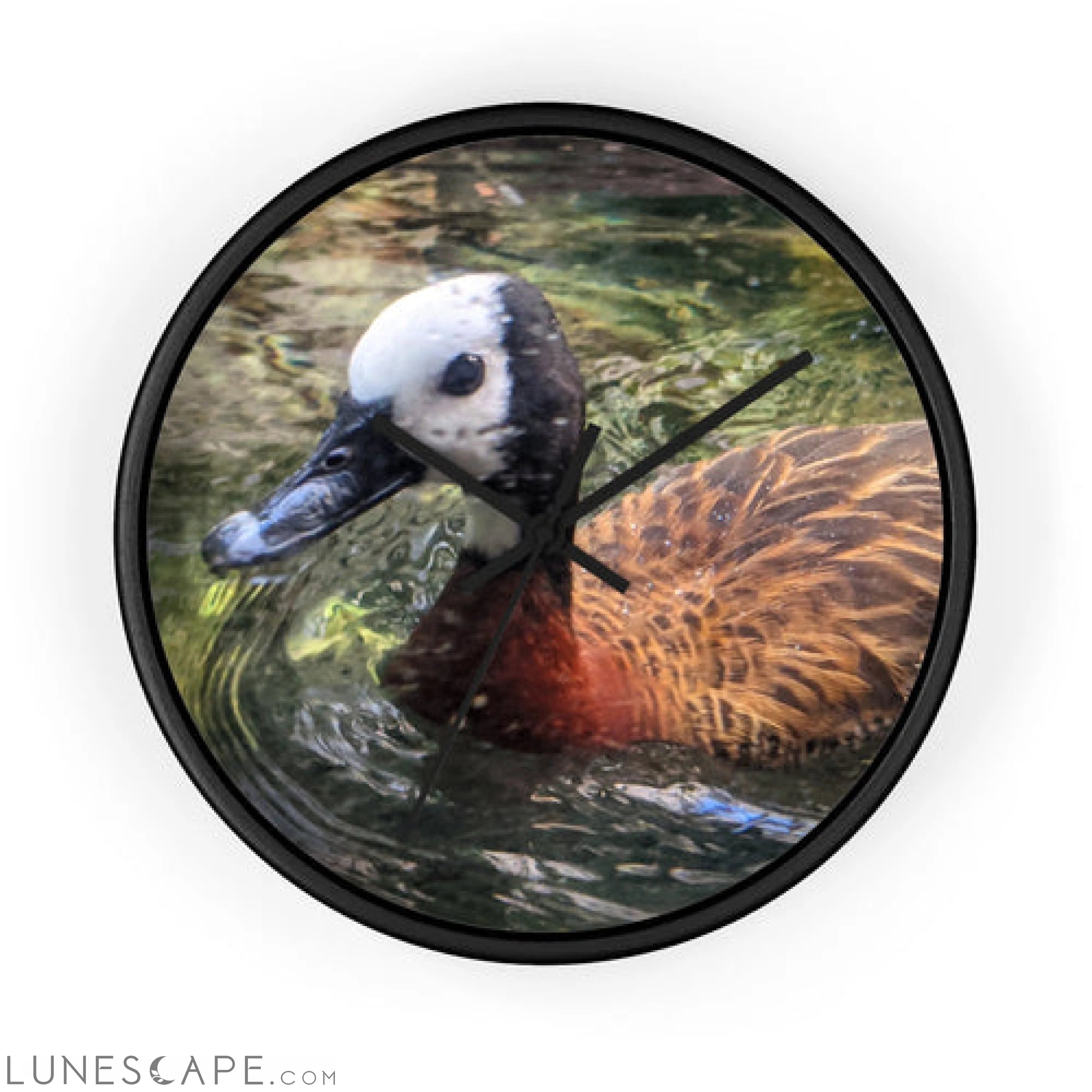 Duck Wall clock LUNESCAPE