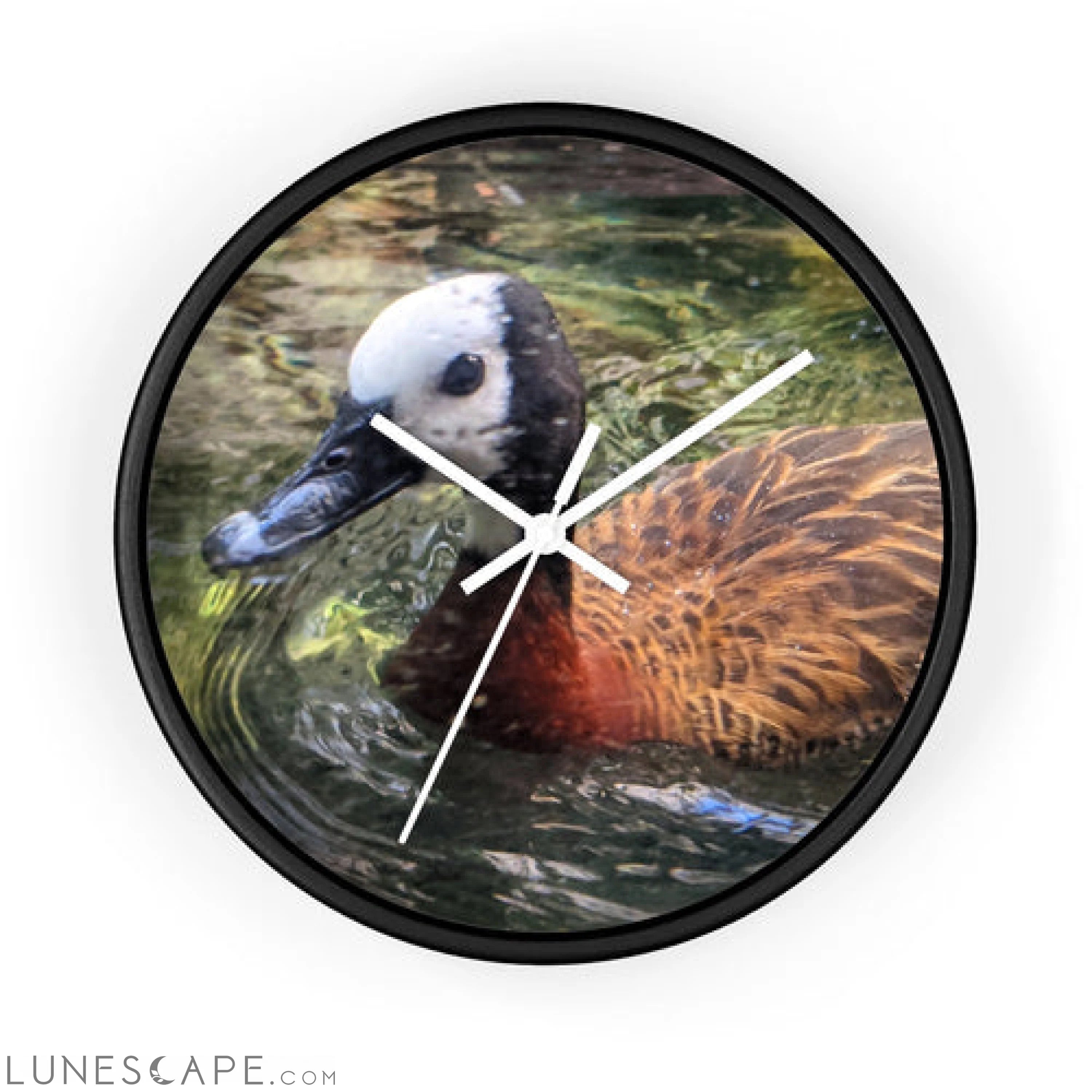 Duck Wall clock LUNESCAPE