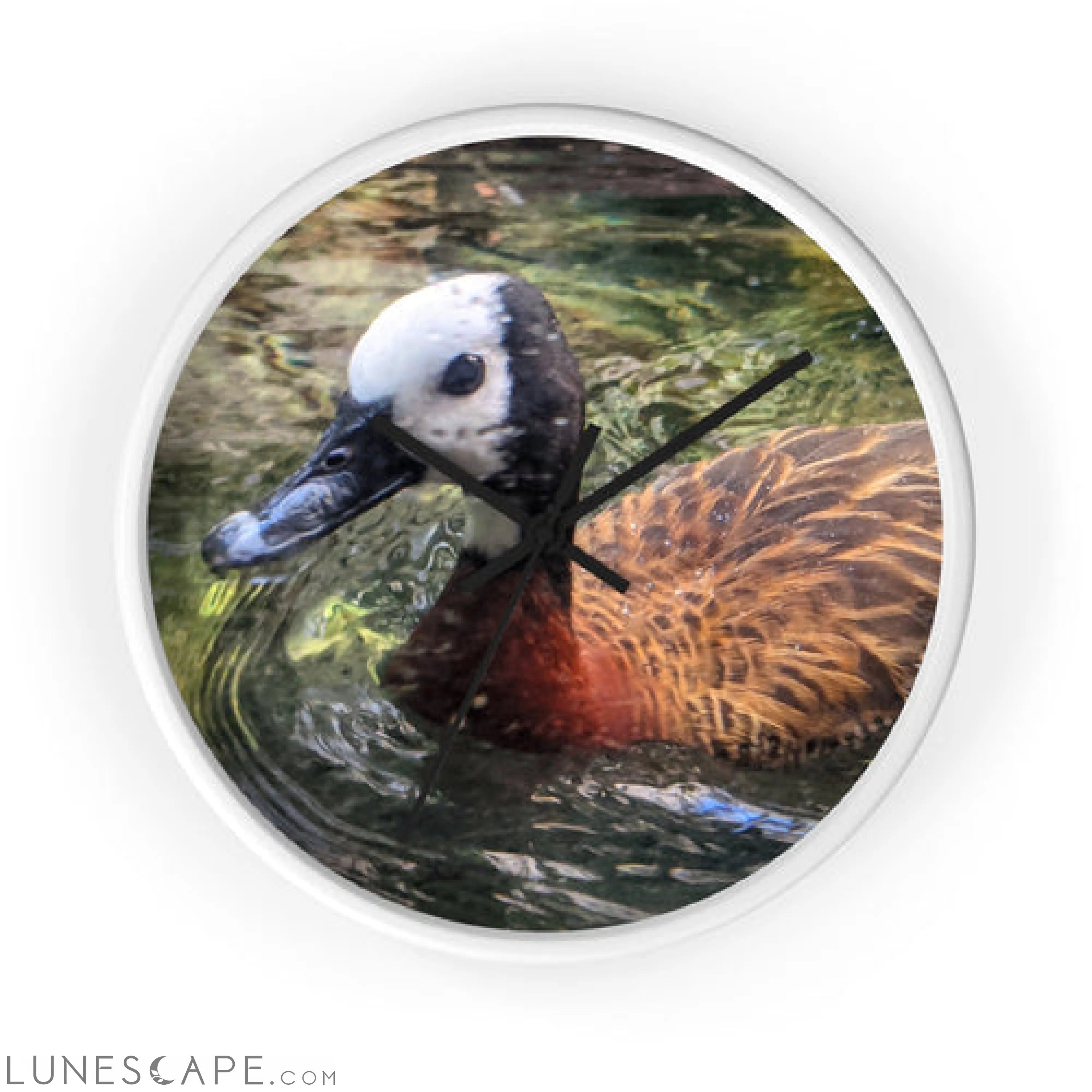 Duck Wall clock LUNESCAPE