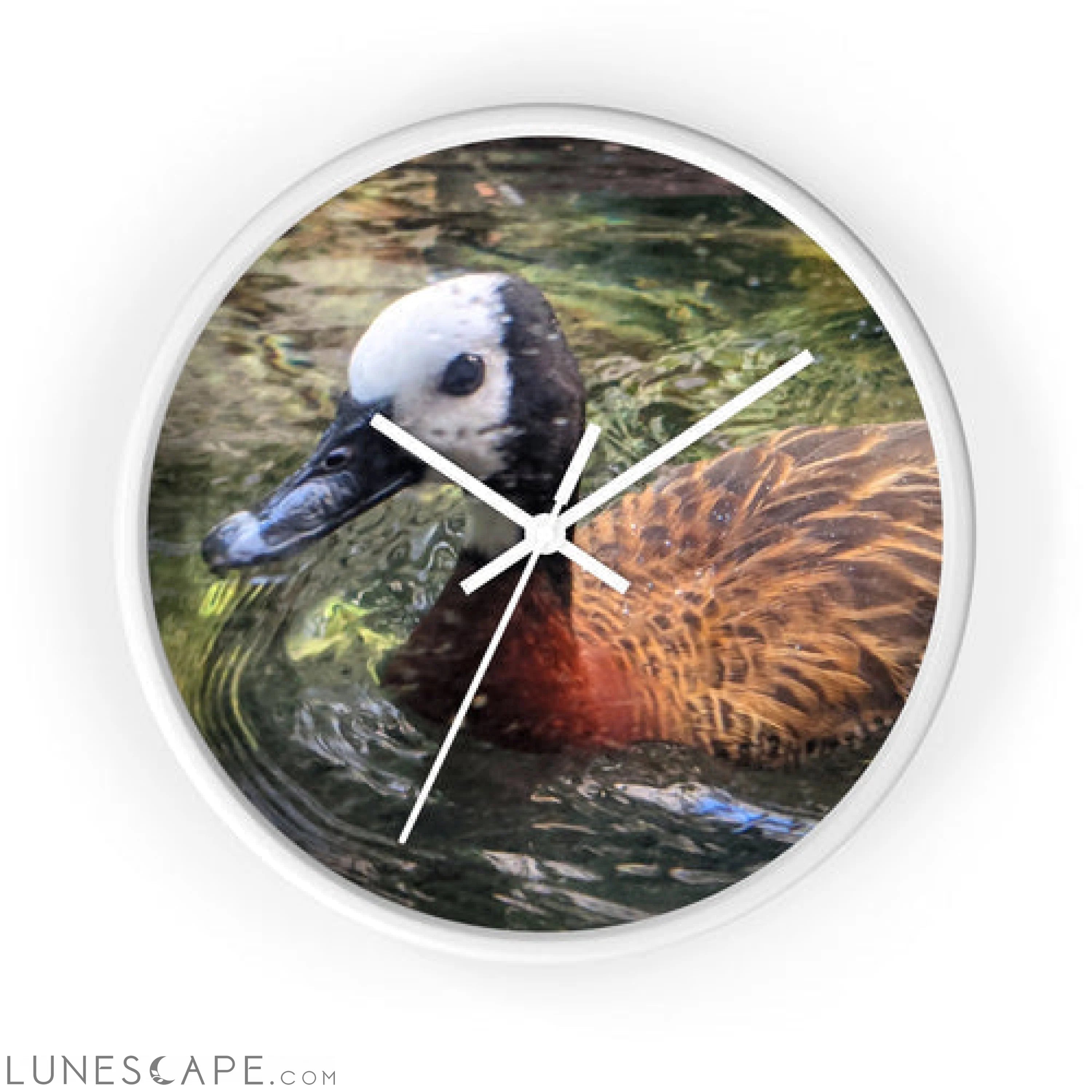 Duck Wall clock LUNESCAPE