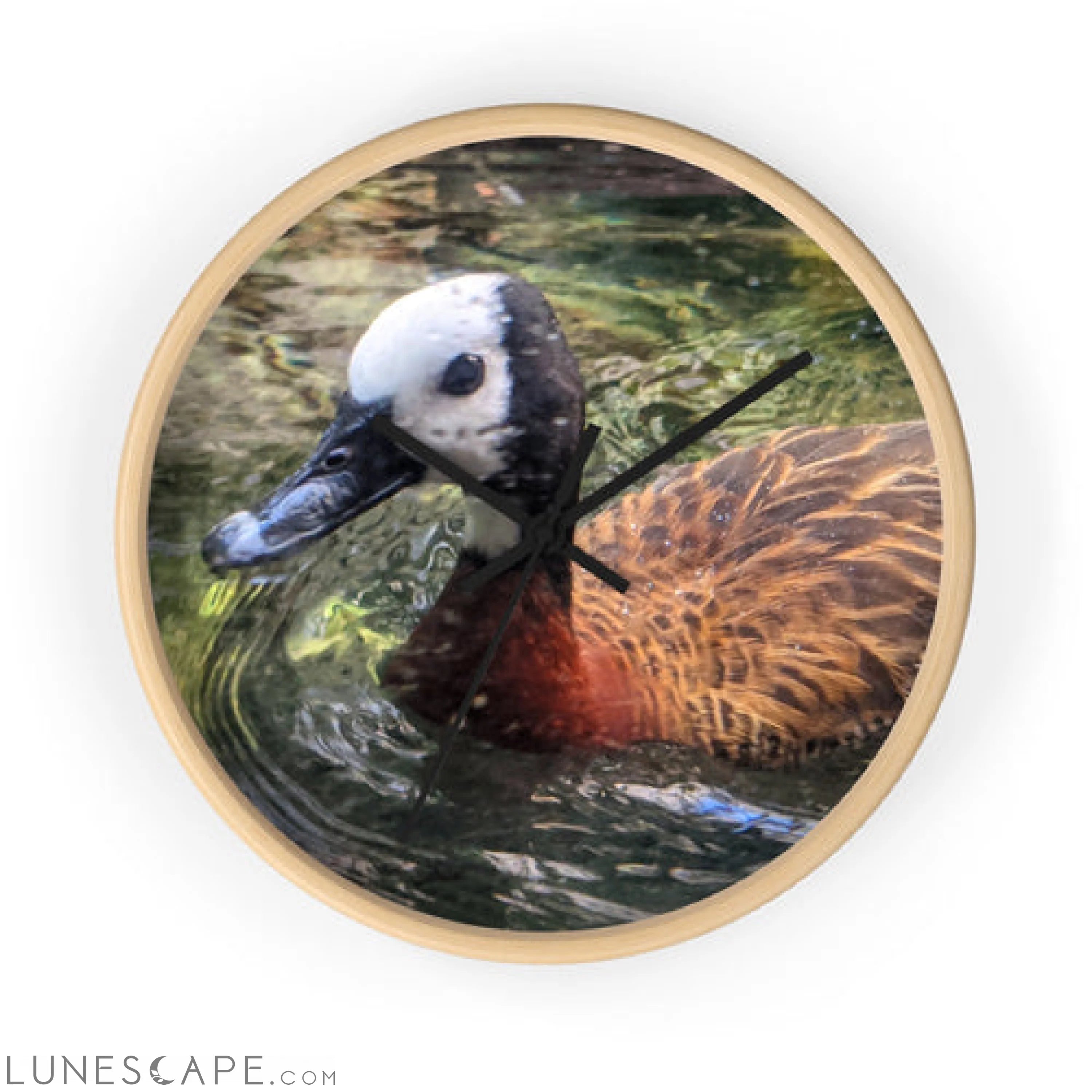 Duck Wall clock LUNESCAPE