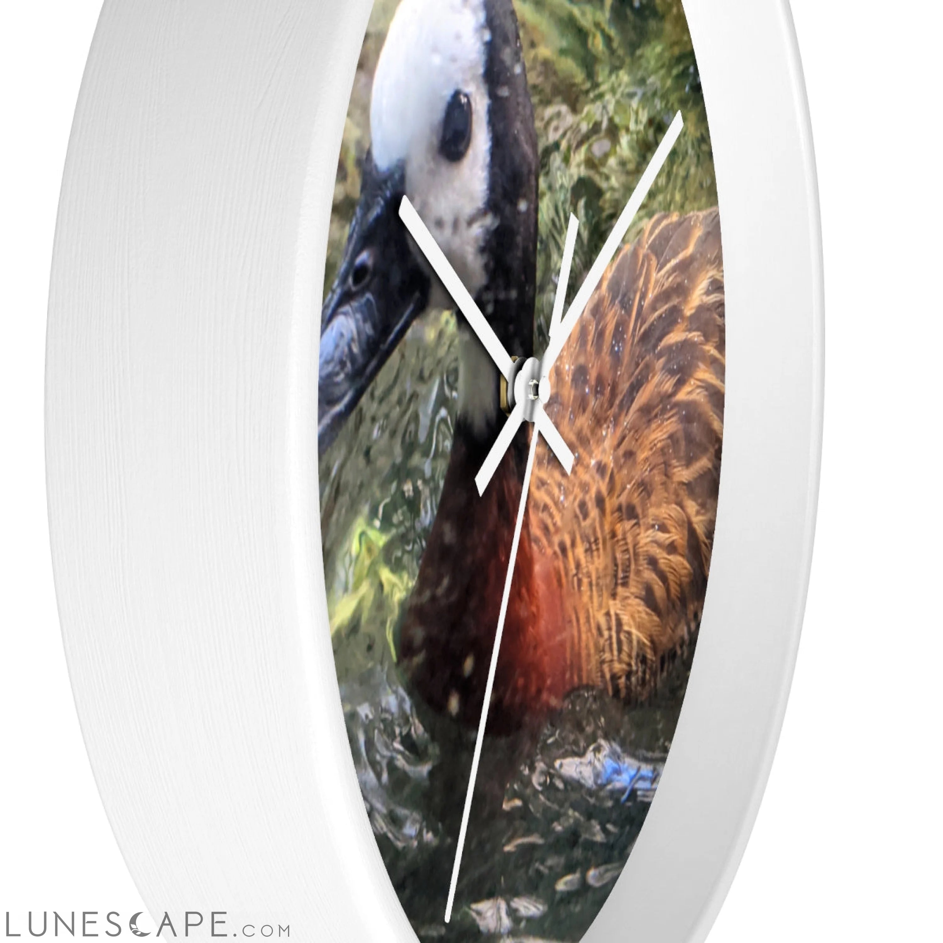 Duck Wall clock LUNESCAPE