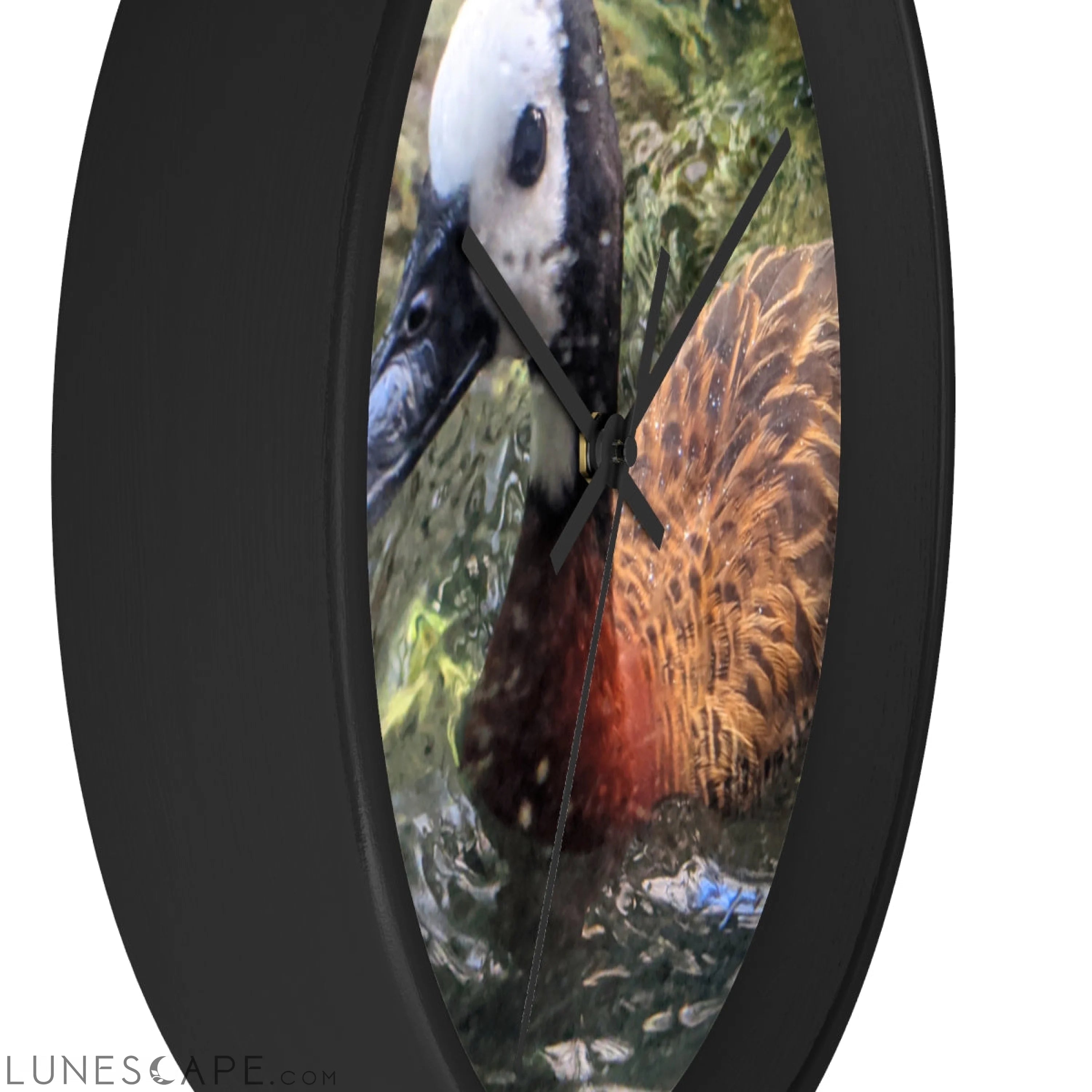 Duck Wall clock LUNESCAPE