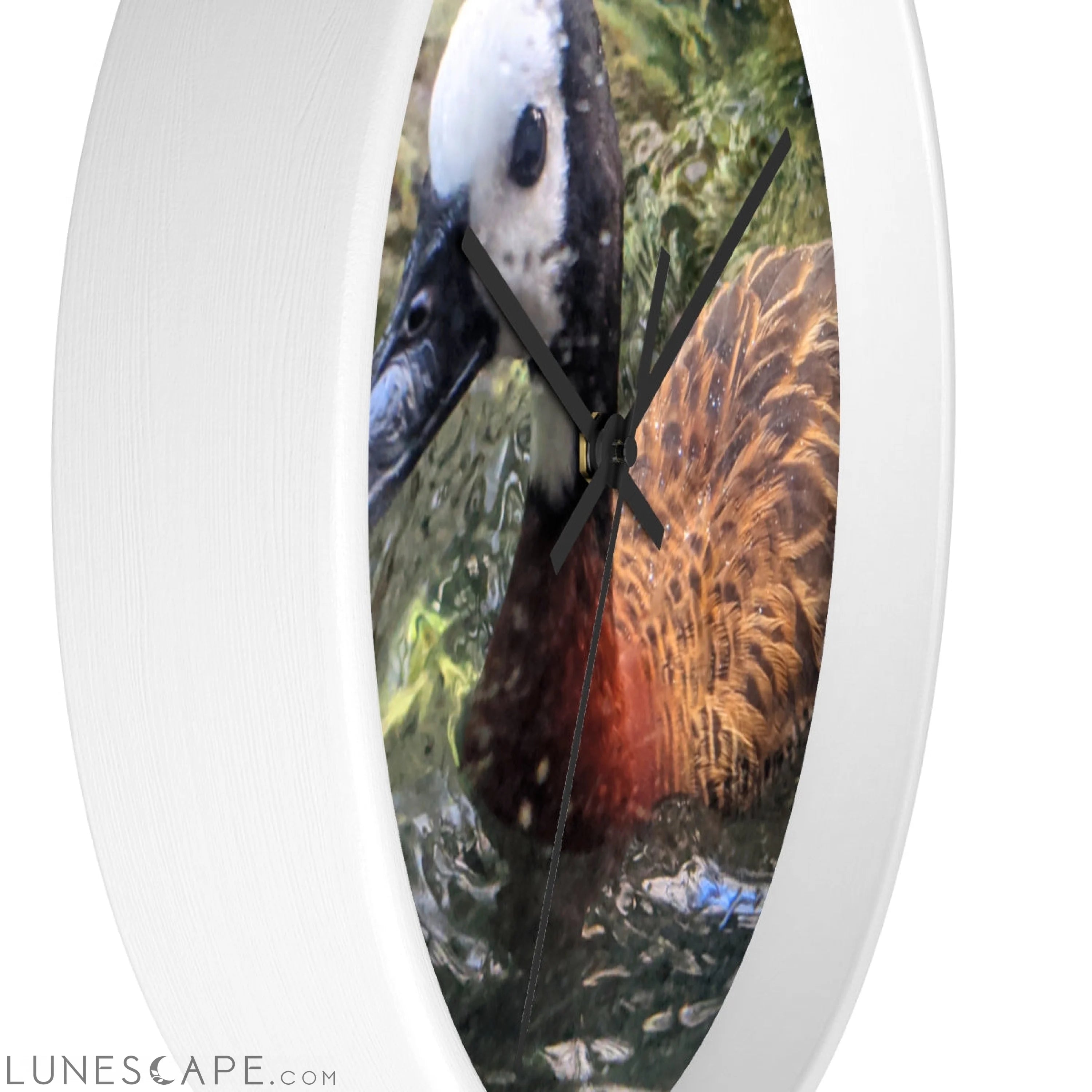 Duck Wall clock LUNESCAPE