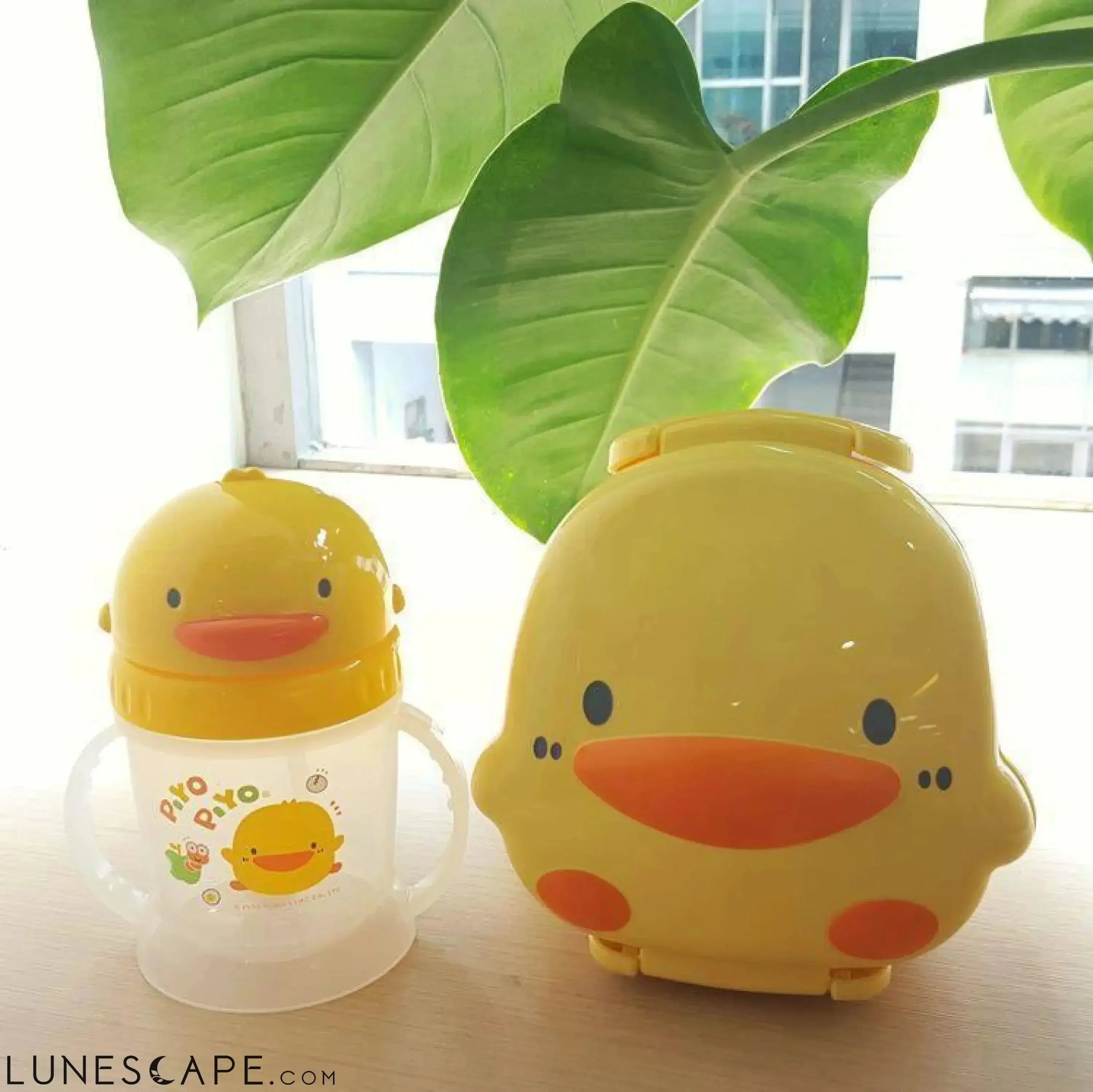 Ducky Bento Box LUNESCAPE