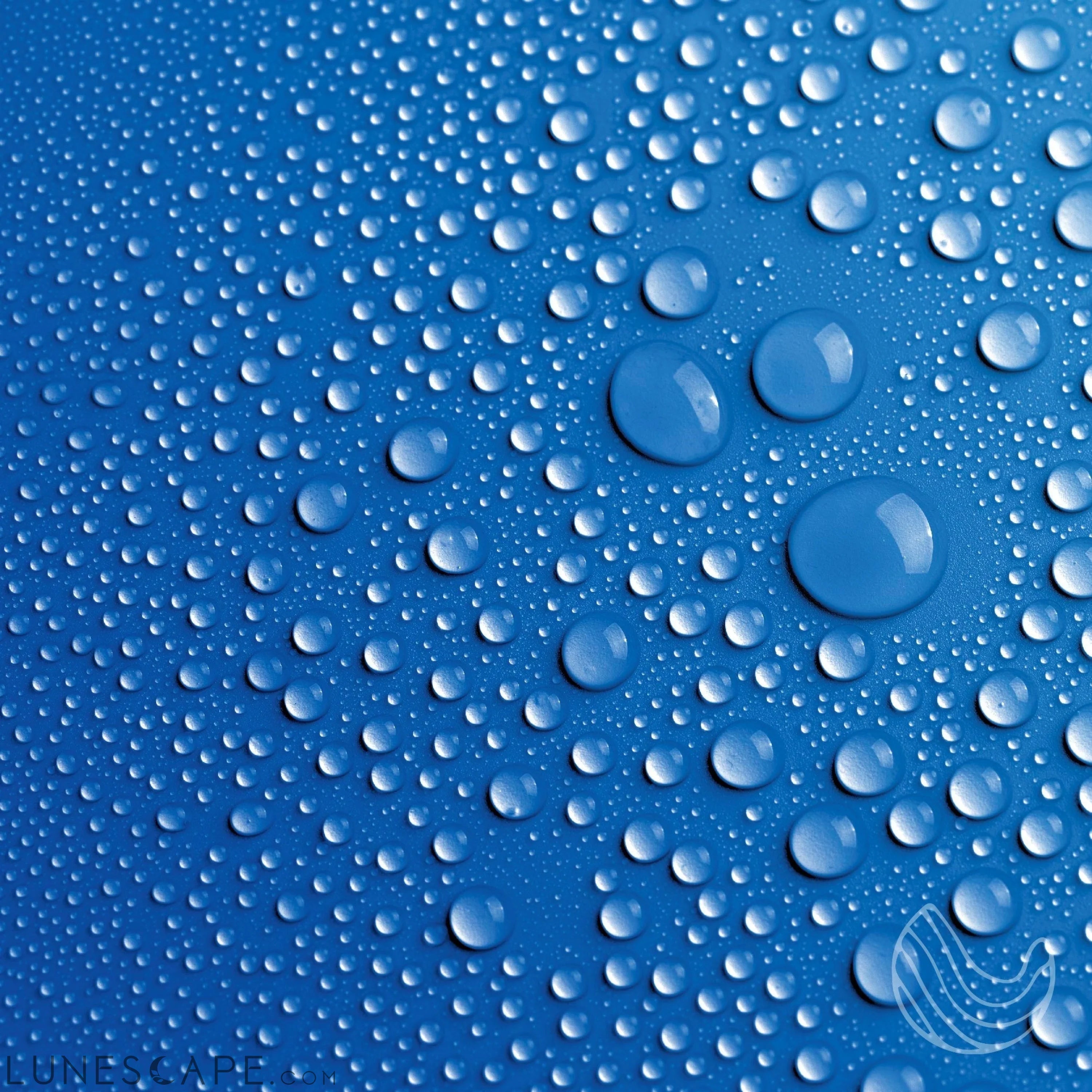 Eessential oil aromatherapy Motivated mist LUNESCAPE