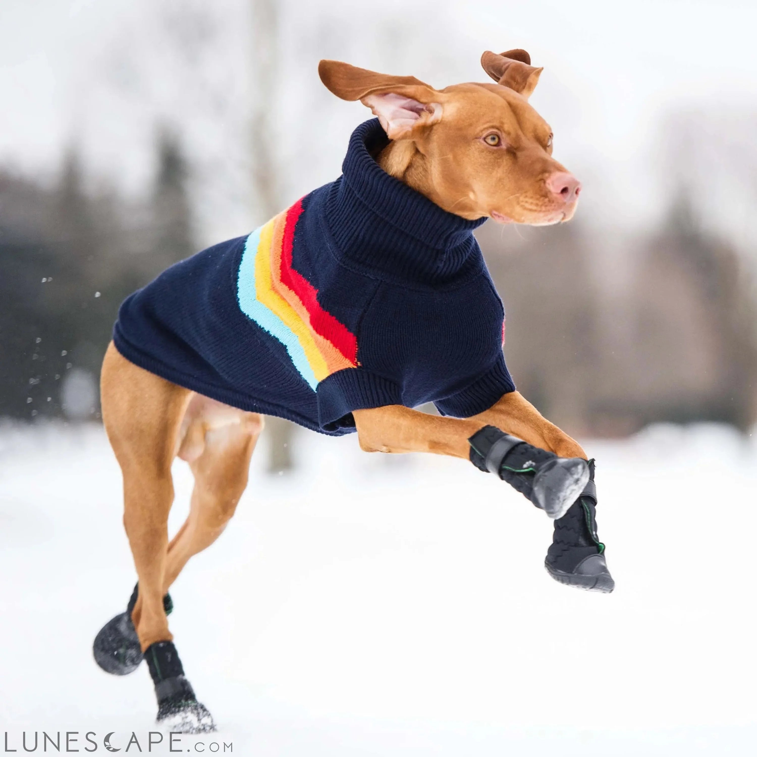 Elasto-Fit Dog Boots - Black LUNESCAPE