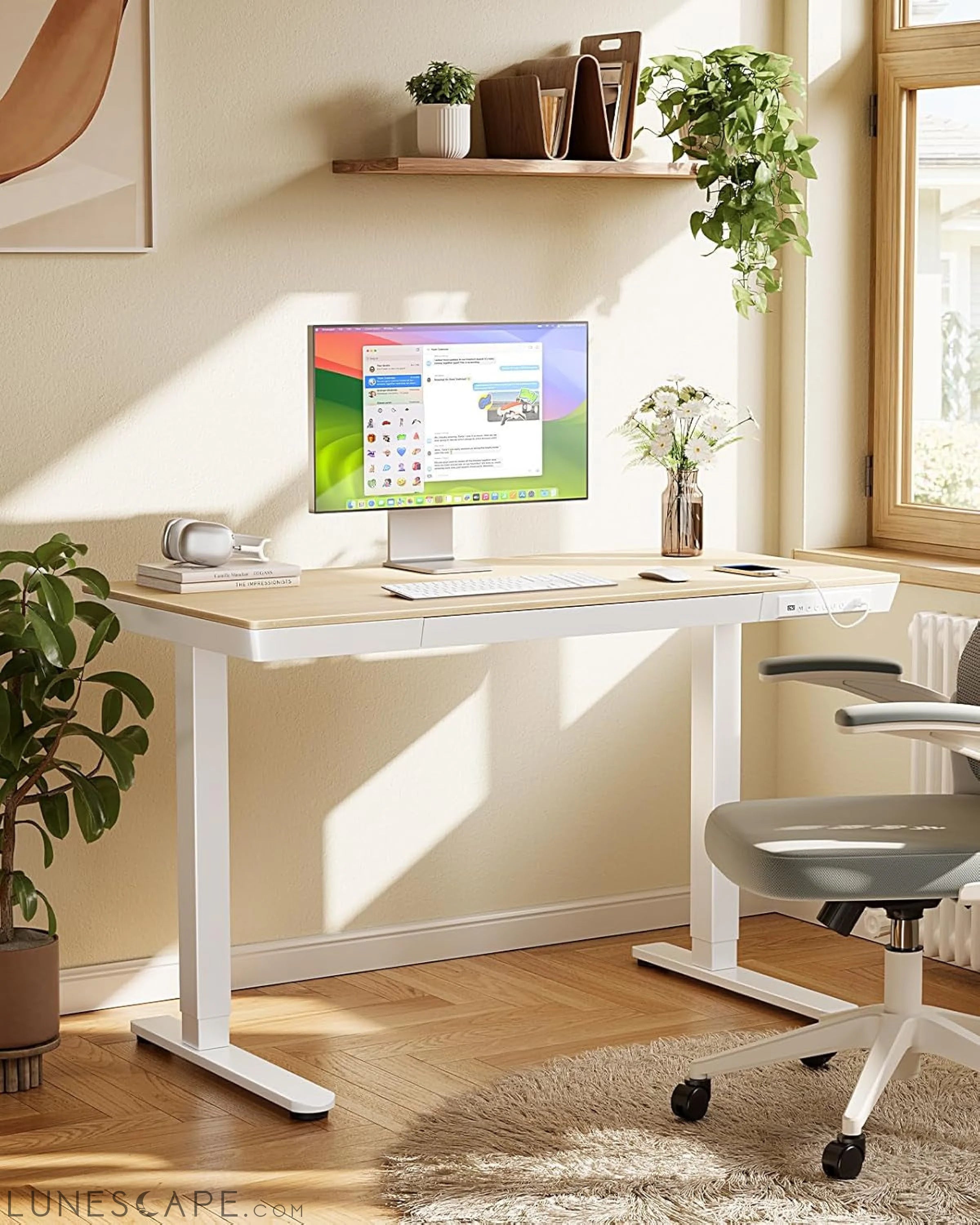 Electric Solid Standing Desk, 48 X 24 Inch Standing Desk with Drawer, LUNESCAPE