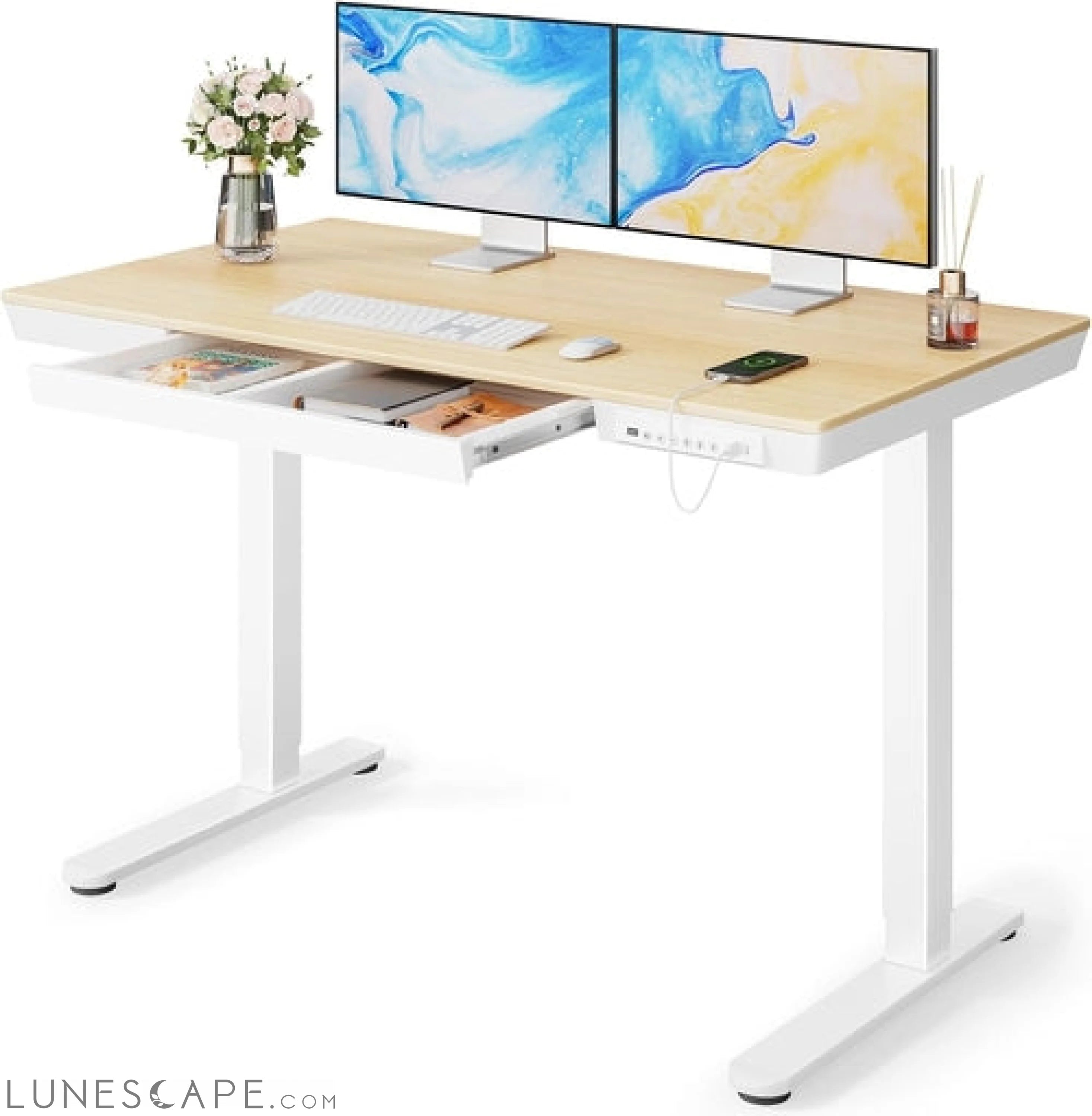 Electric Solid Standing Desk, 48 X 24 Inch Standing Desk with Drawer, LUNESCAPE