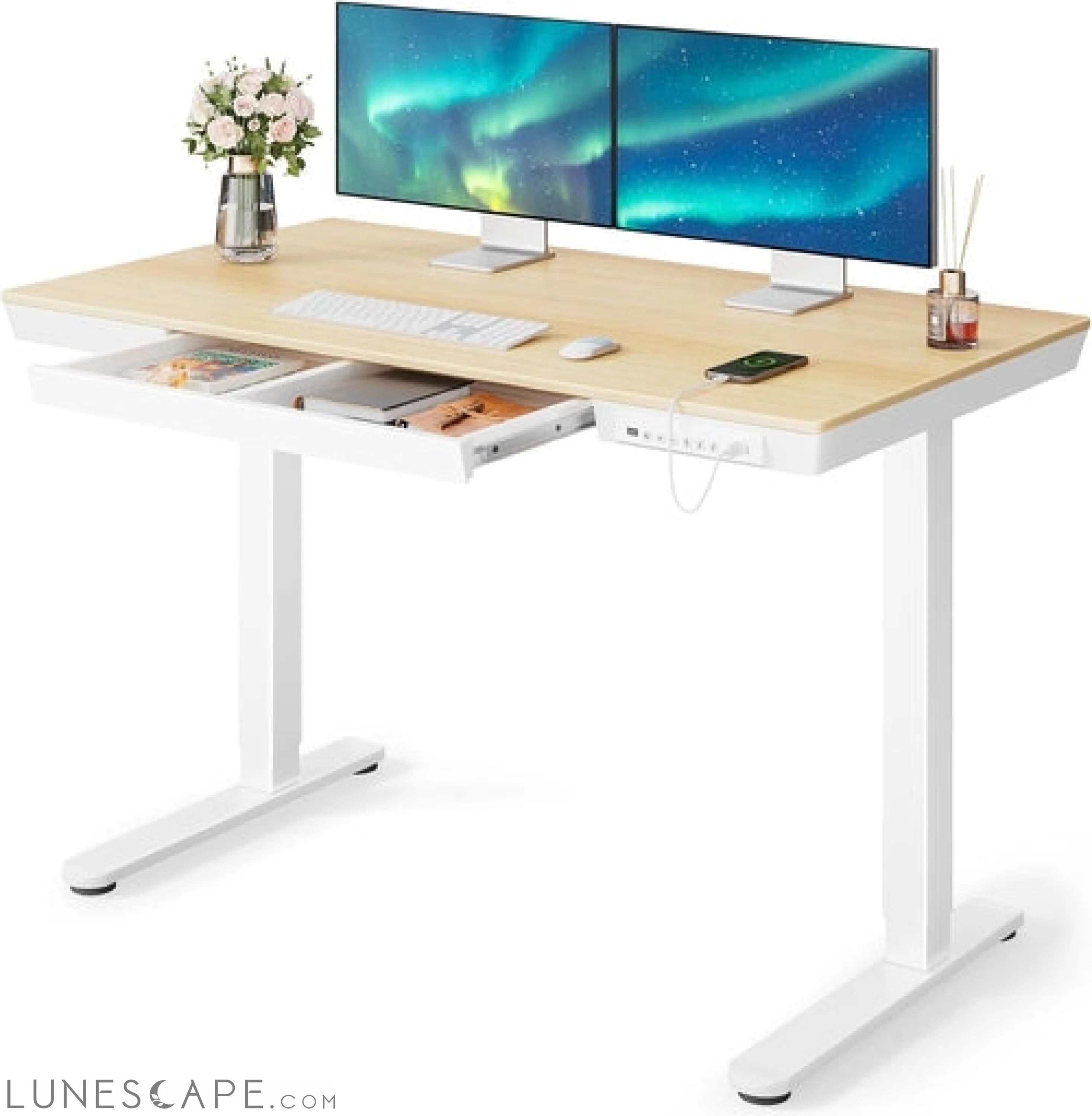 Electric Solid Standing Desk, 48 X 24 Inch Standing Desk with Drawer, LUNESCAPE